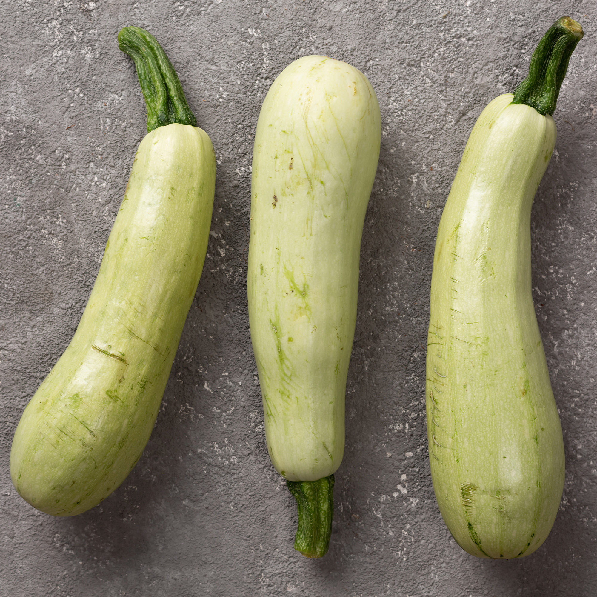 Clarinette F1 Hybrid Squash Seeds - 4 g Packet - Garden, Non-GMO