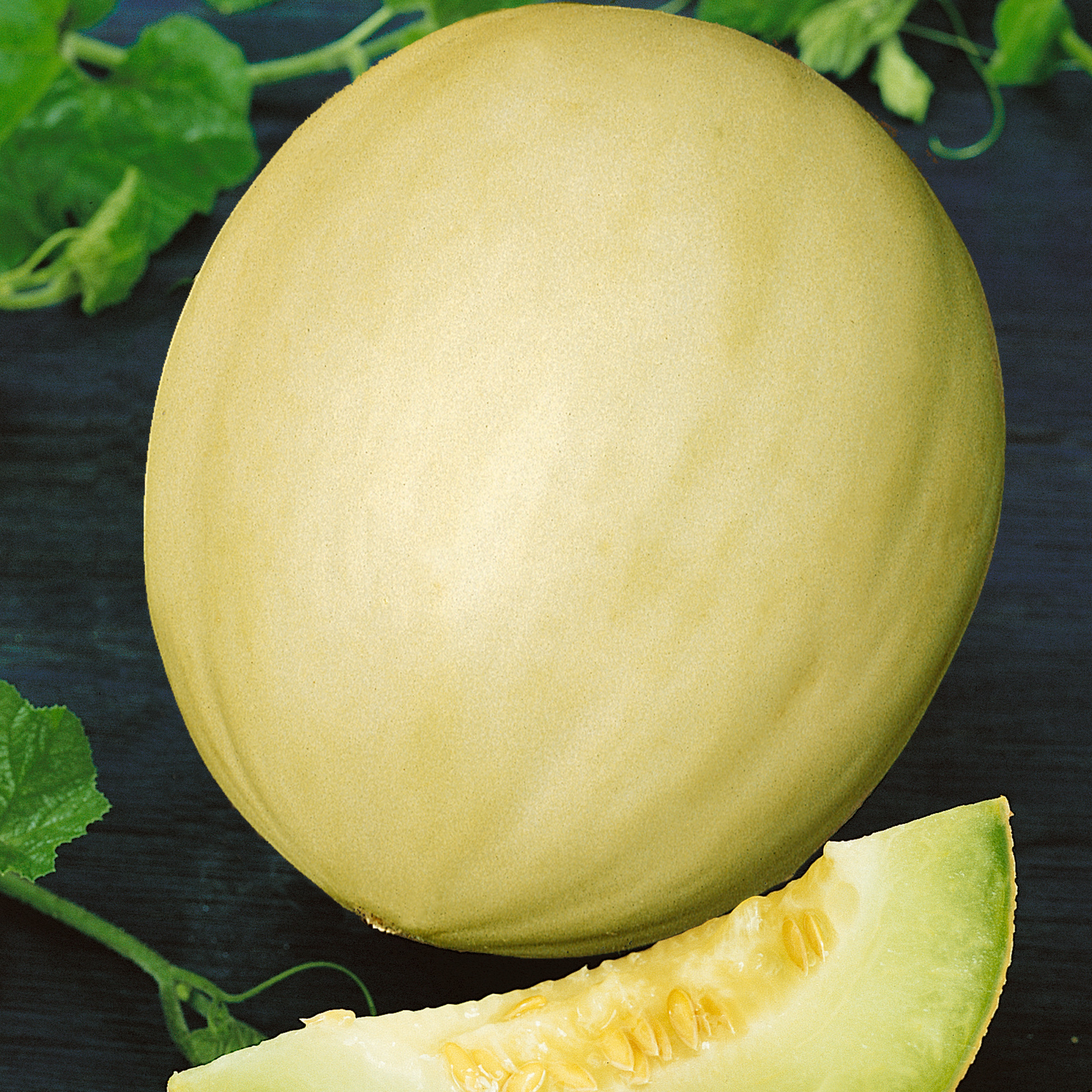 Bodacious F1 Hybrid Melon Seeds - 4 Oz - Vegetable Garden, Fruit