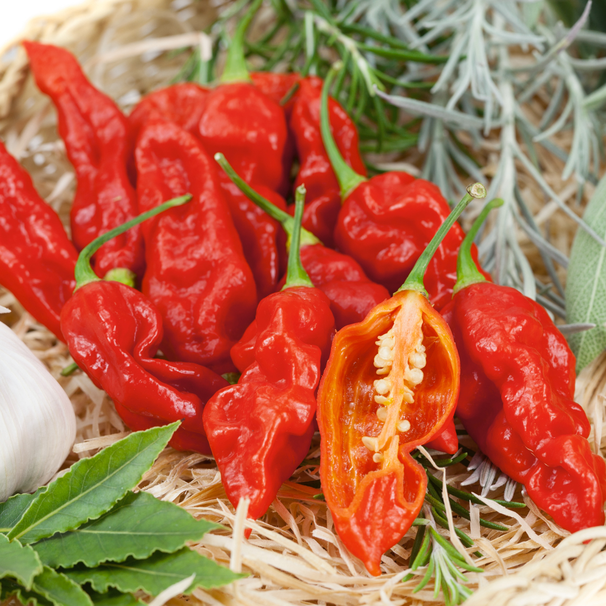 Wicked Ghost F1 Hybrid Hot Pepper Seeds - 300 Mg Packet - Garden