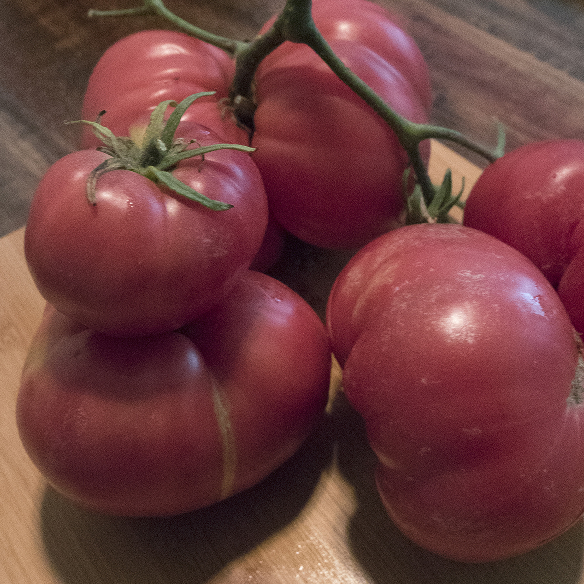 Containers Choice Pink F1 Hybrid Tomato Seeds - 300 Mg Packet - Garden - Buy Non-GMO Lycopersicon esculentum Farm & Gardening Se