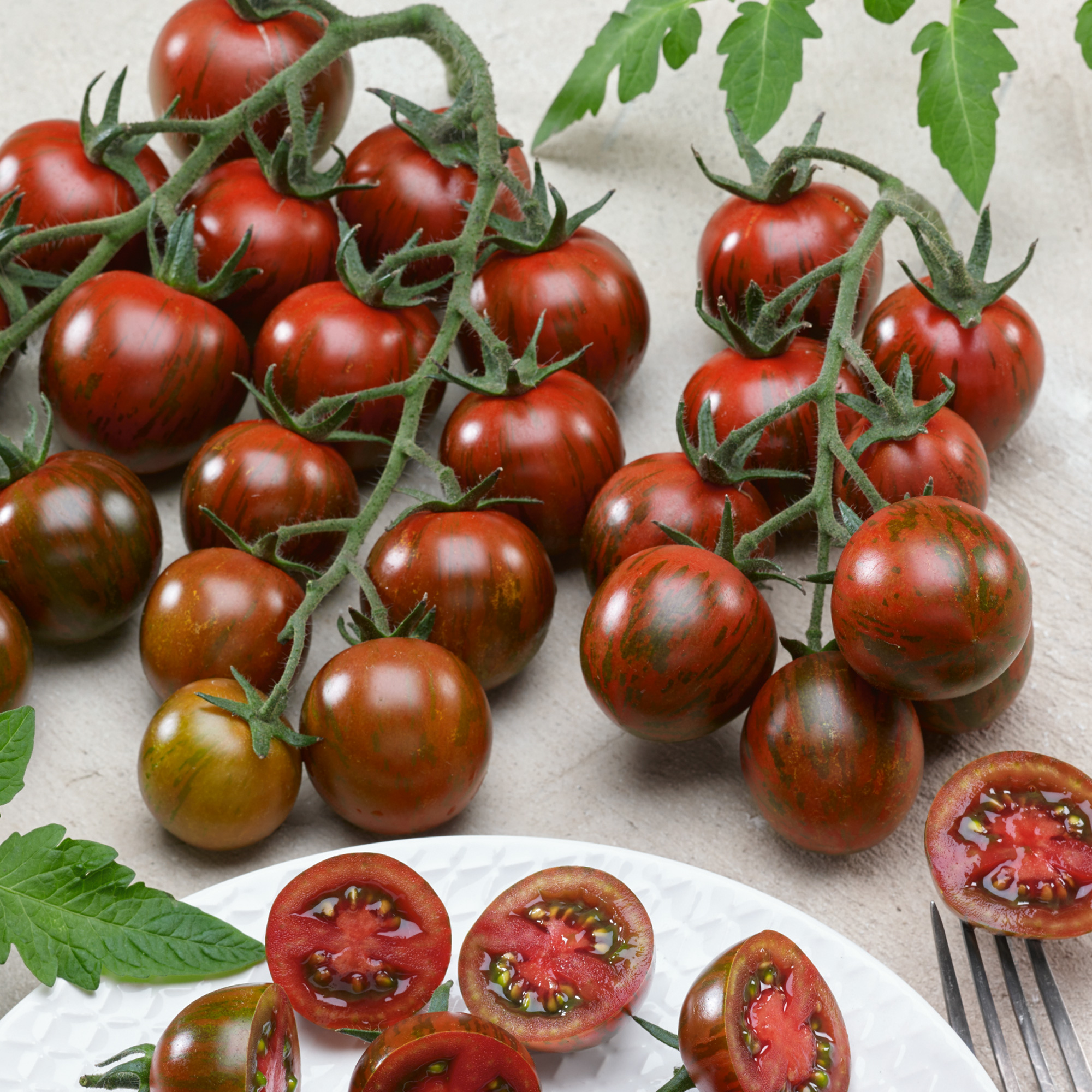 Gum Drop Black F1 Hybrid Tomato Seeds - 300 Mg Packet - Garden