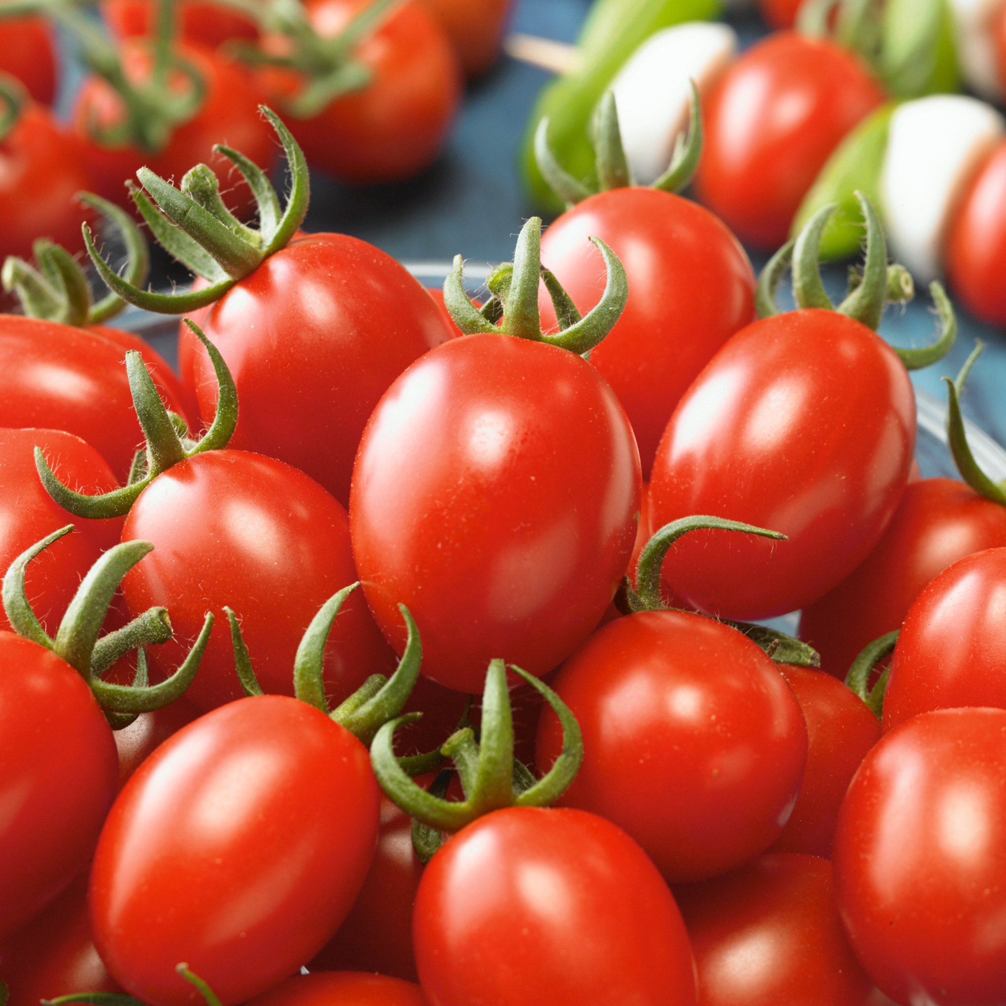 Sugar Fairy F1 Hybrid Tomato Seeds - 300 Mg Packet - Garden, Non-GMO