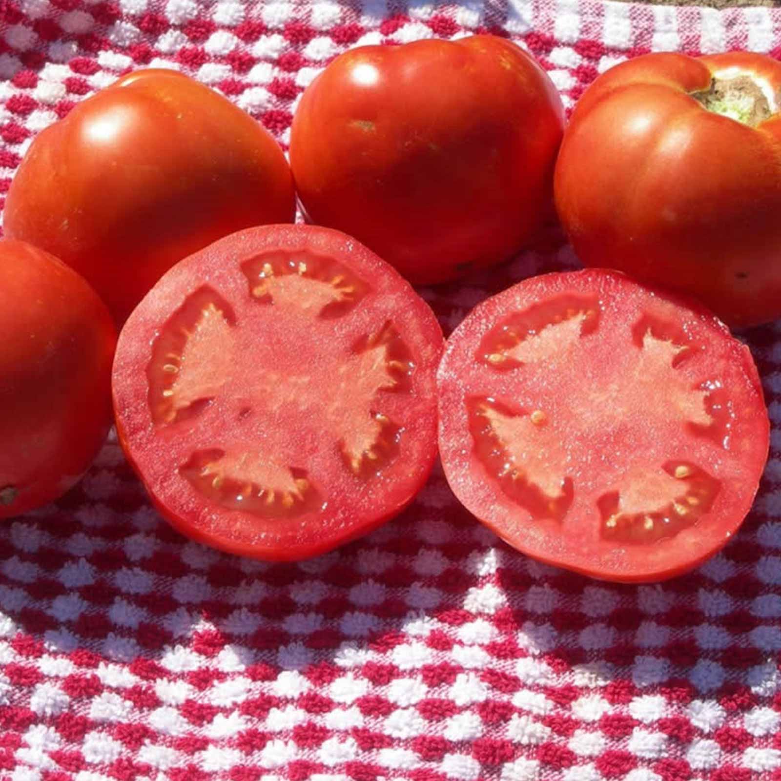 Seeds: Tomato Garden - Beefsteak (Ponderosa Red) - 1 Oz- Organic - Buy Non-GMO Solanum lycopersicum Farm & Gardening Seeds Onlin