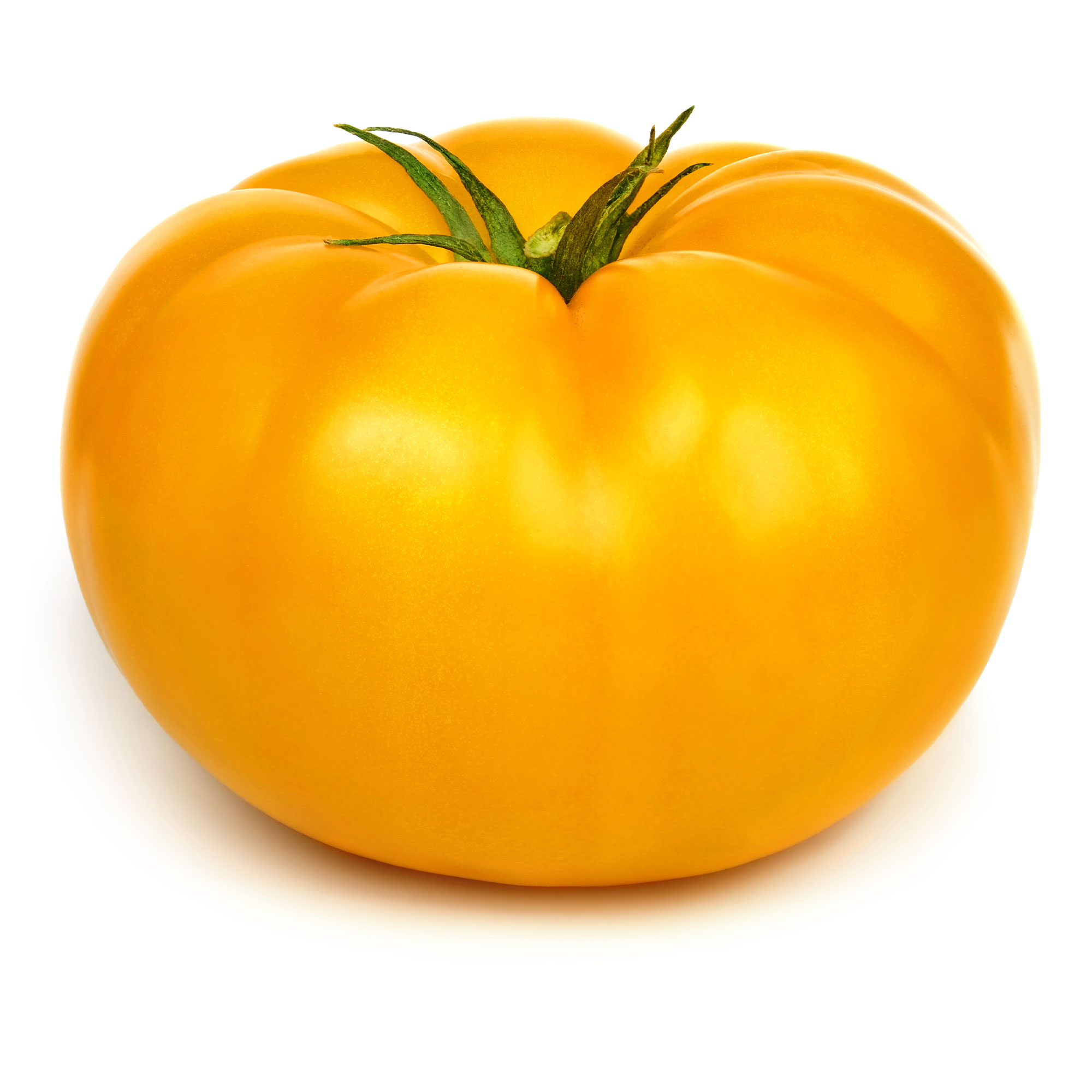 Tomato, Beefsteak Yellow - 1 Lb Bulk ~160,000 Seeds - Vegetable Garden - Buy Non-GMO Solanum lycopersicum Farm & Gardening Seeds