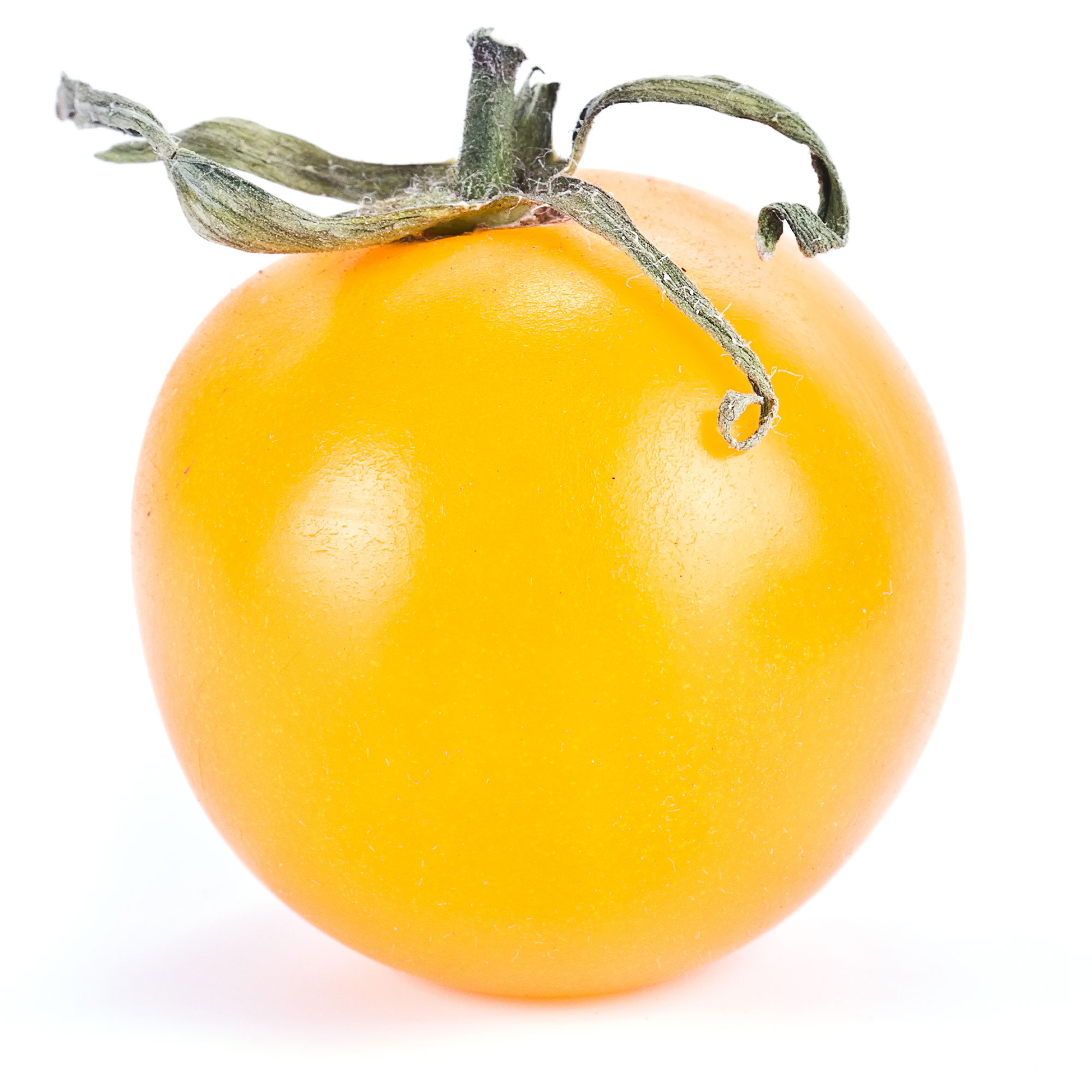 Tomato, Sunray - 300 Mg Packet ~70 Seeds - Vegetable Gardening - Buy Non-GMO Solanum lycopersicum Farm & Gardening Seeds Online