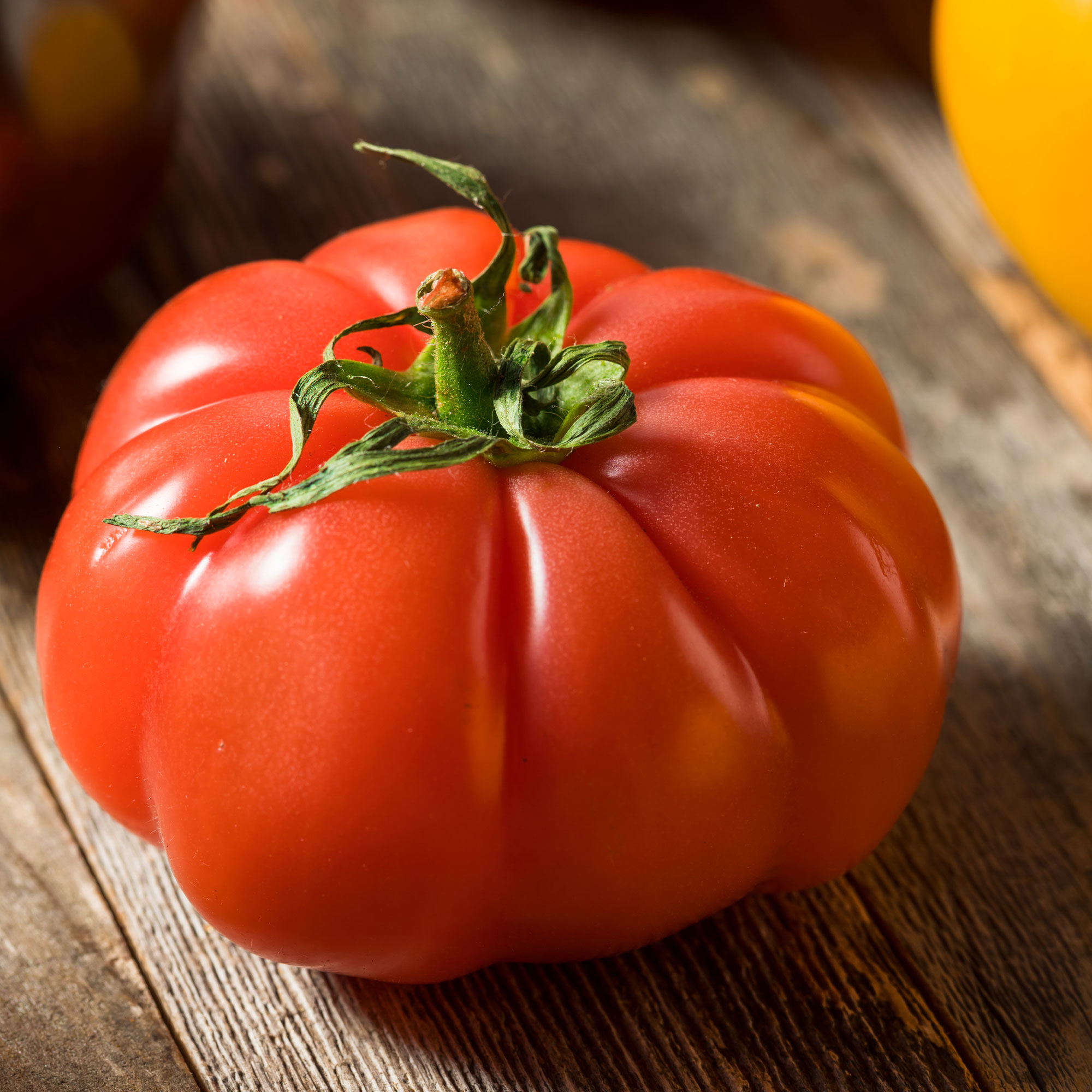 Tomato - Super Marmande VF - 250 Mg Packet ~65 Seeds - Garden Vegetable - Buy Non-GMO Solanum lycopersicum Farm & Gardening Seed