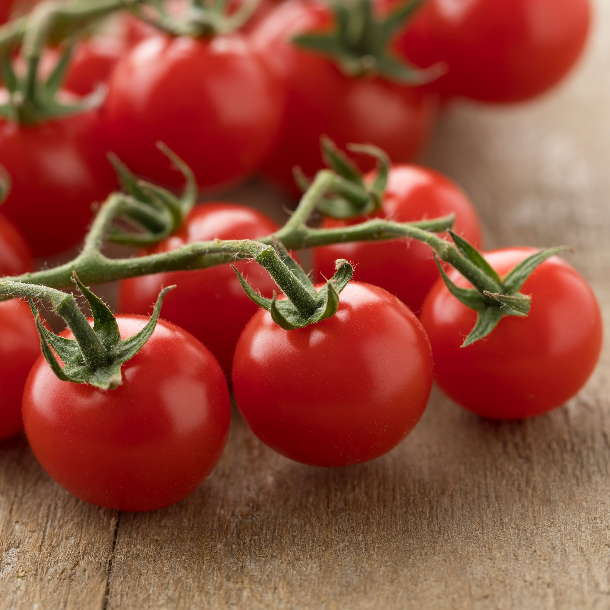 Tomato Seeds - Sweetie - 4 Oz ~30K - Vegetable - Non-GMO, Heirloom - Buy Non-GMO Solanum lycopersicum Farm & Gardening Seeds Onl