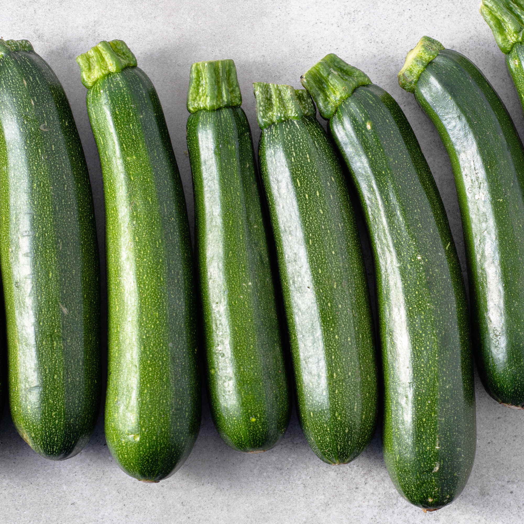 Squash Seeds - Summer - Endurance BC-2 F1 - 25 Lb ~100,000 - Non-GMO - Buy Non-GMO Cucurbita pepo Farm & Gardening Seeds Online