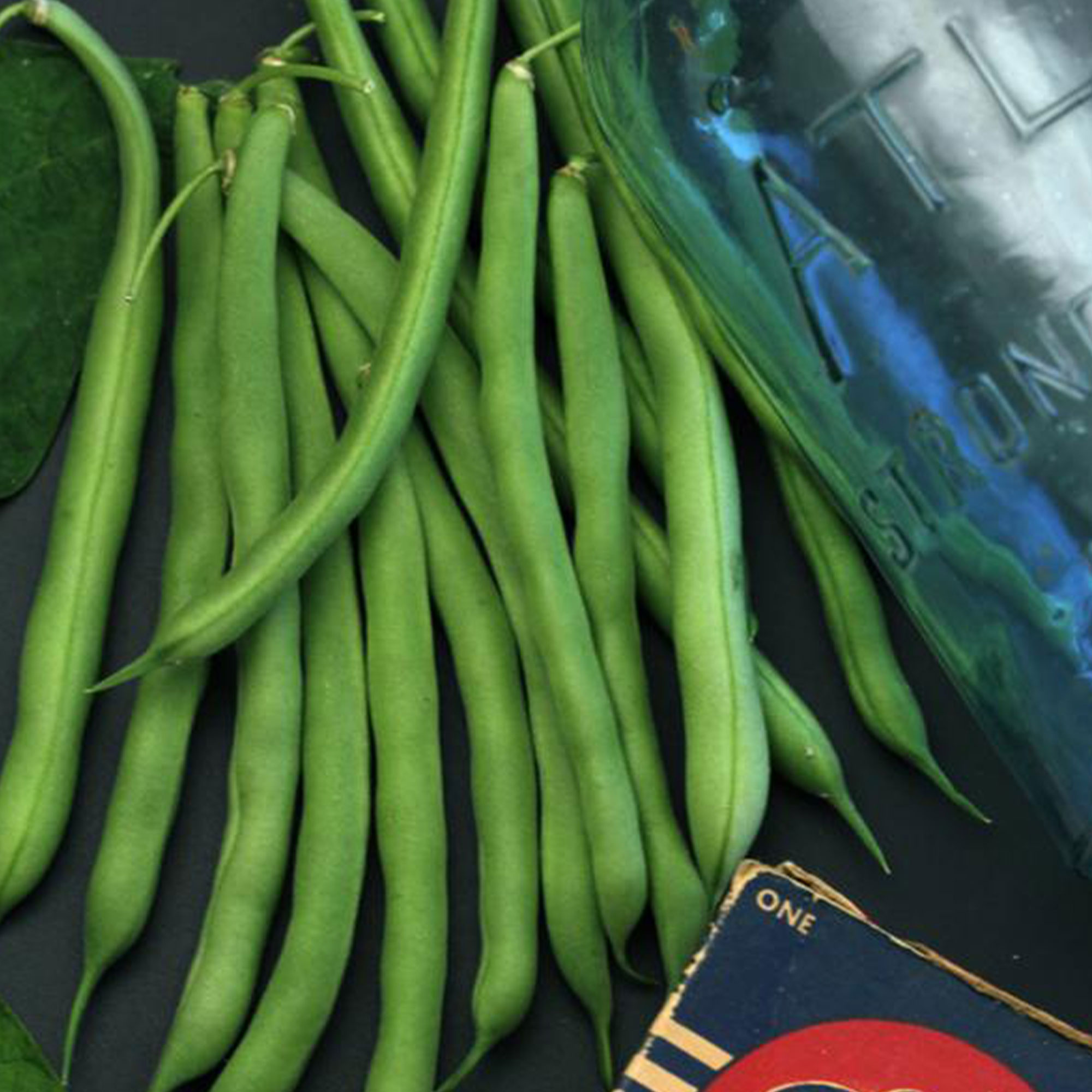 Organic Bush Blue Lake 274 Bean - 5 LB Bulk ~6,000 Seeds - Vegetable - Buy Non-GMO Phaseolus vulgaris Farm & Gardening Seeds Onl