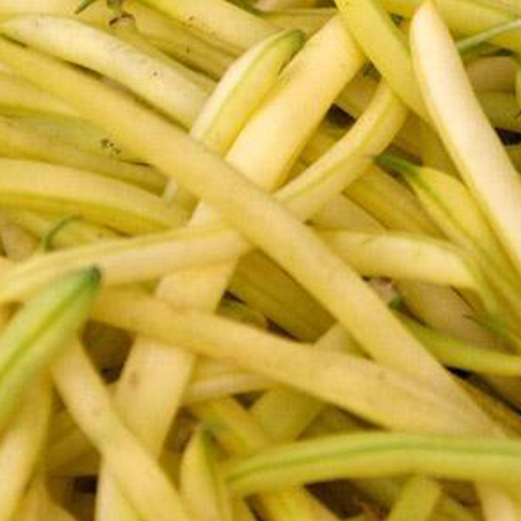 Beans, Organic Golden Wax - AKA Wax Bean - .5 Oz Packet ~50 Seeds - Buy Non-GMO Phaseolus vulgaris Farm & Gardening Seeds Online
