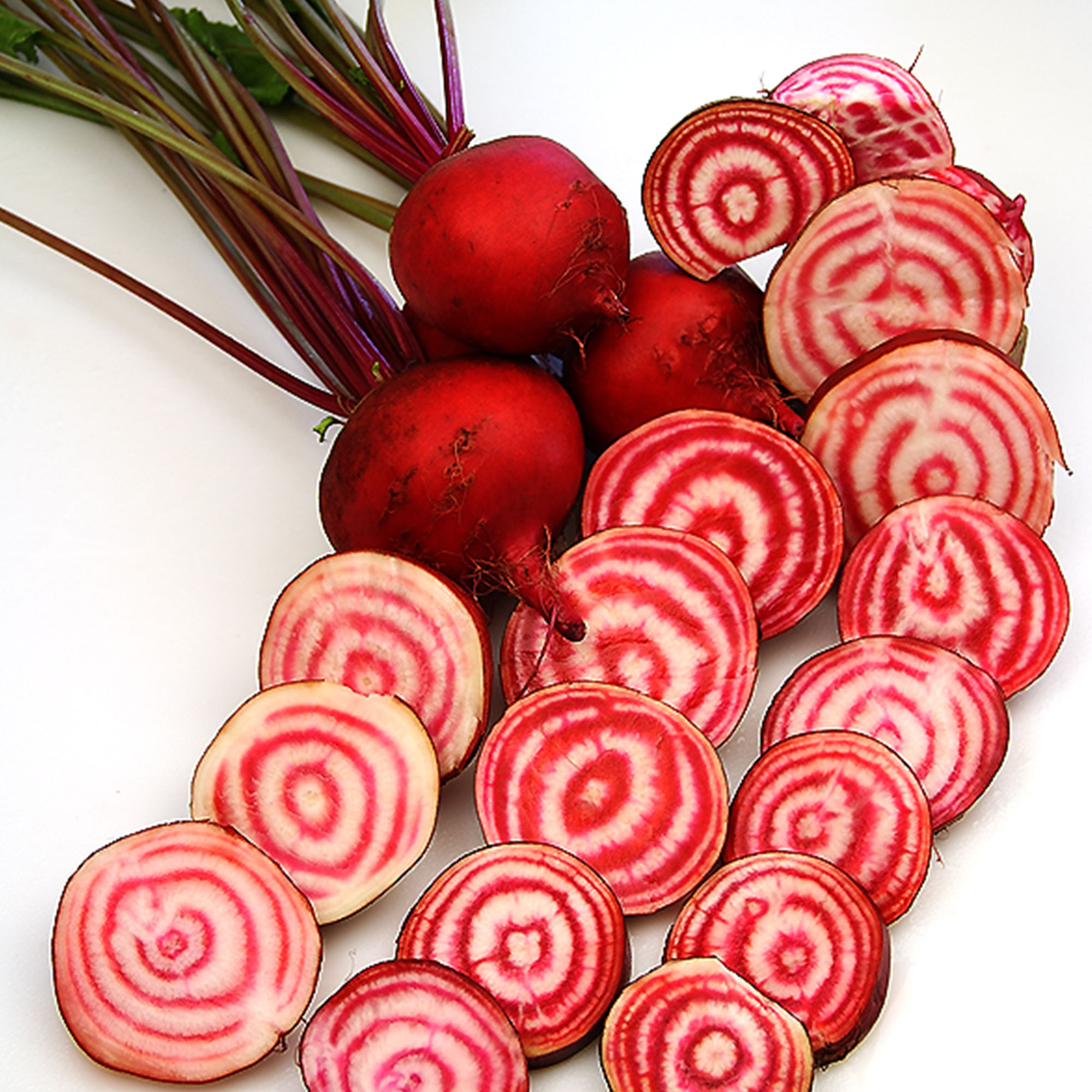 Organic Chioggia Beet Seeds - 1 LB ~24,000 - Vegetable Gardening - Buy Non-GMO Beta vulgaris Farm & Gardening Seeds Online