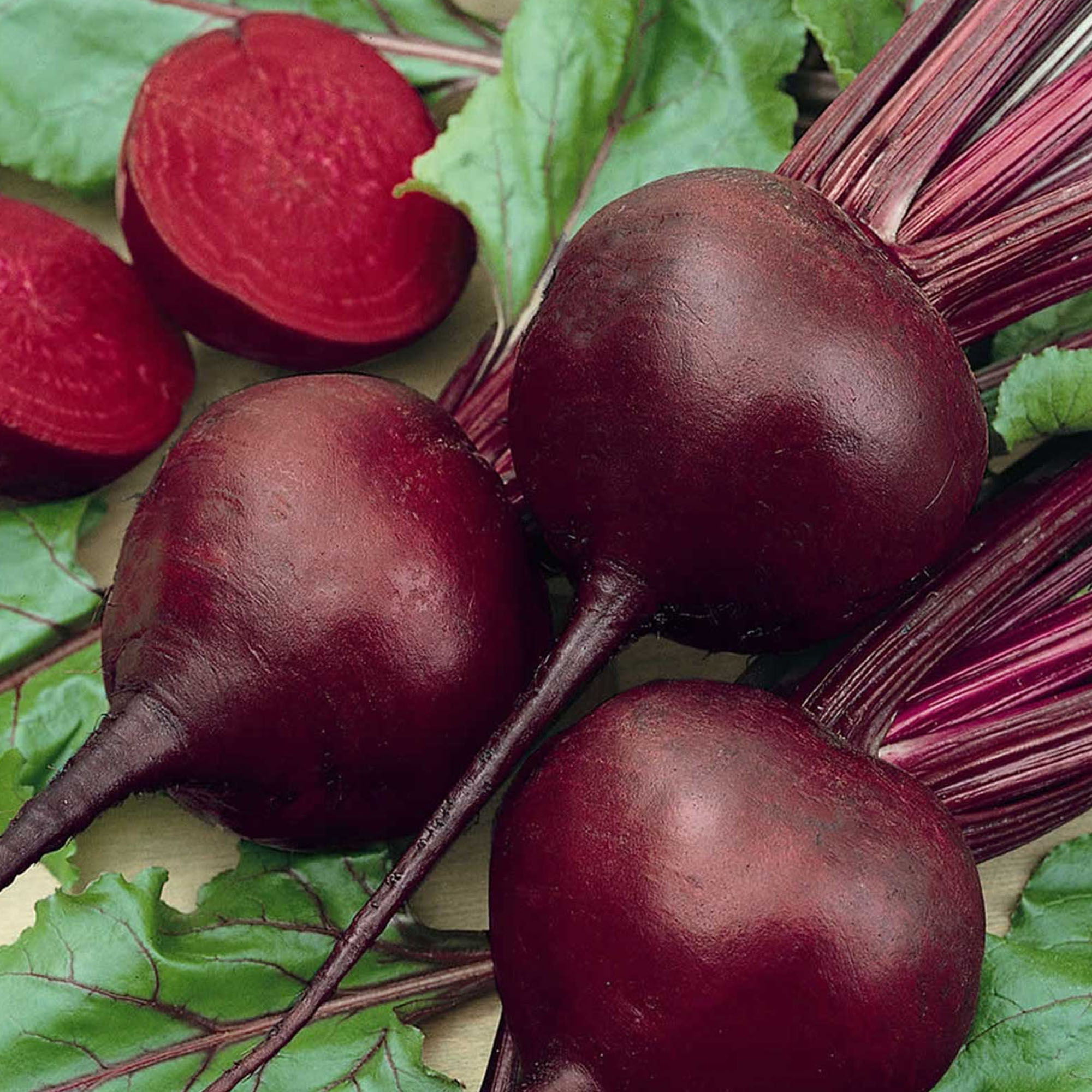 Organic Detroit Dark Red Beet Seeds -5 LB ~120,000 Seeds -Micro Greens - Buy Non-GMO Beta vulgaris Farm & Gardening Seeds Online