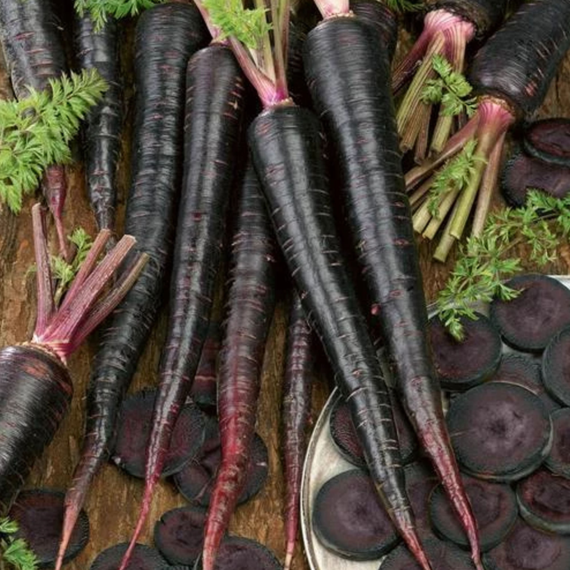 Black Nebula Carrot Seeds 1/4 LB ~80,000 Seeds - Non-GMO, Gardening - Buy Non-GMO Daucus carota var. sativus Farm & Gardening Se