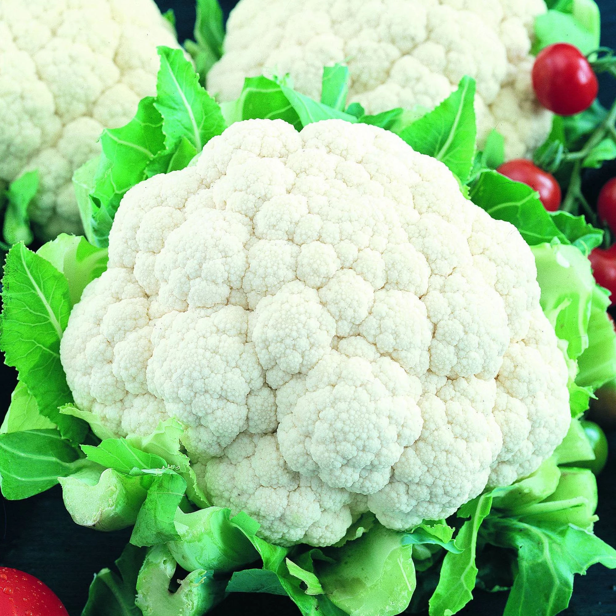 Organic Self Blanching Cauliflower Seeds- 500 mg ~150-Heirloom, Garden - Buy Non-GMO Brassica oleracea var. botrytis Farm & Gard