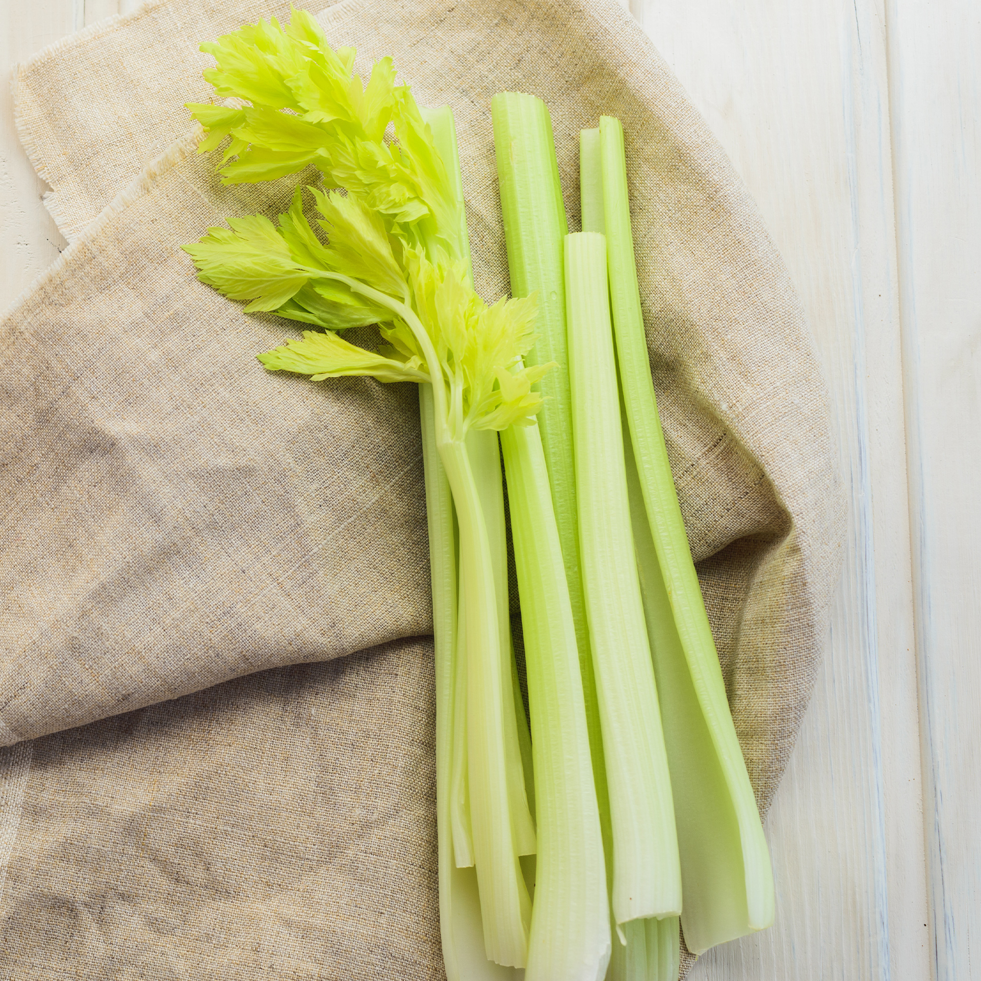 Giant Golden Pascal Celery Seeds - 1 OZ Bulk ~65,000 Seeds - Heirloom - Buy Non-GMO Apium graveolens var. secalinum Farm & Garde
