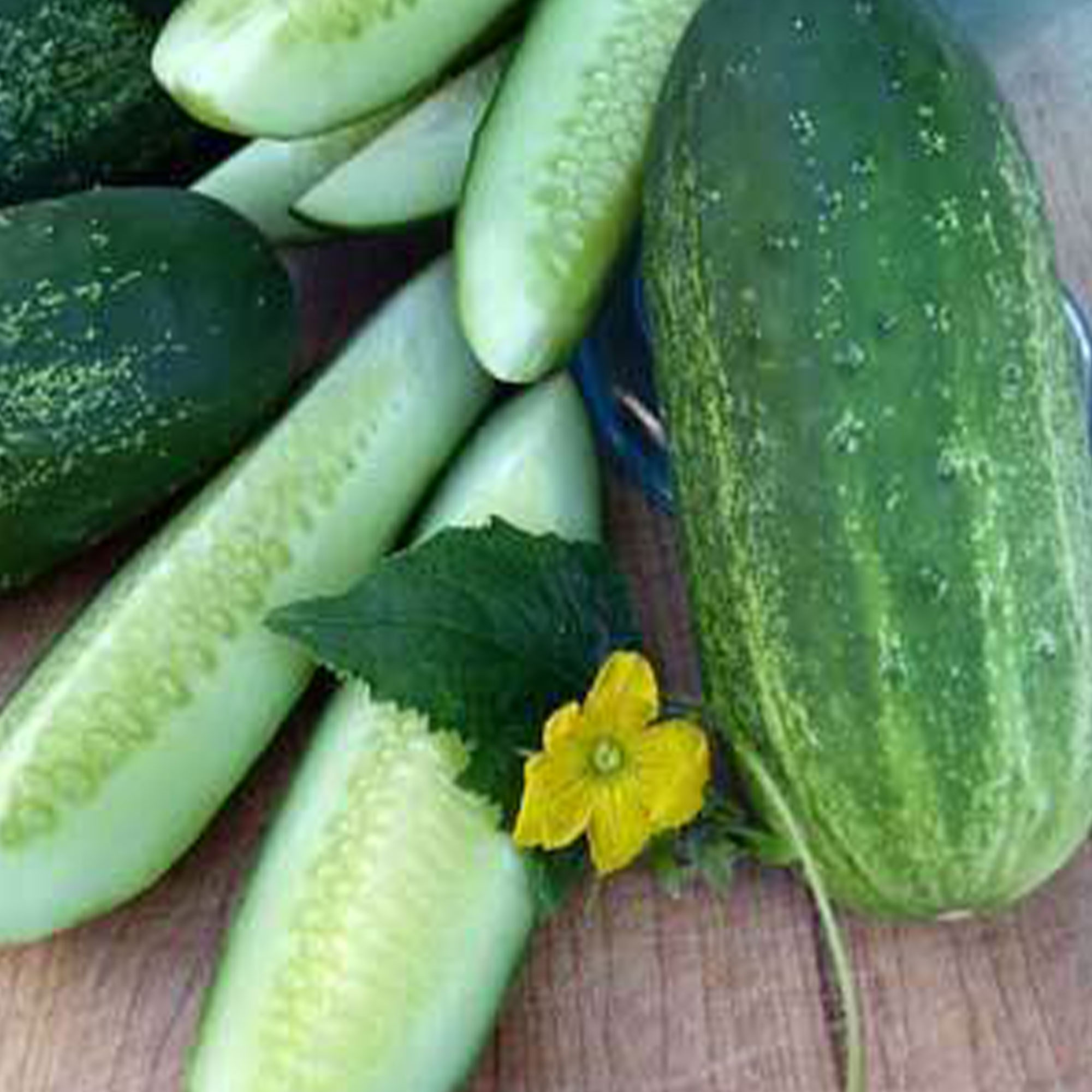 Organic Homemade Pickles Cucumber Seeds - 1/4 LB ~3,752 -Heirloom - Buy Non-GMO Cucumis sativus Farm & Gardening Seeds Online