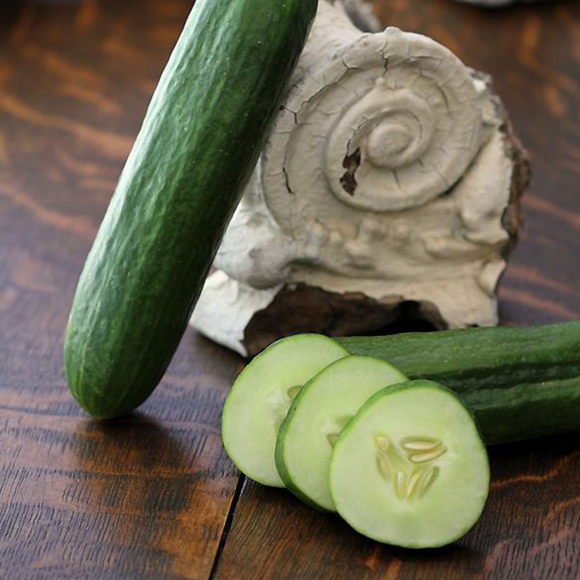 Organic Tendergreen Burpless Cucumber Seeds - 1 LB Bulk ~13,600 -Farm - Buy Non-GMO Cucumis sativus Farm & Gardening Seeds Onlin