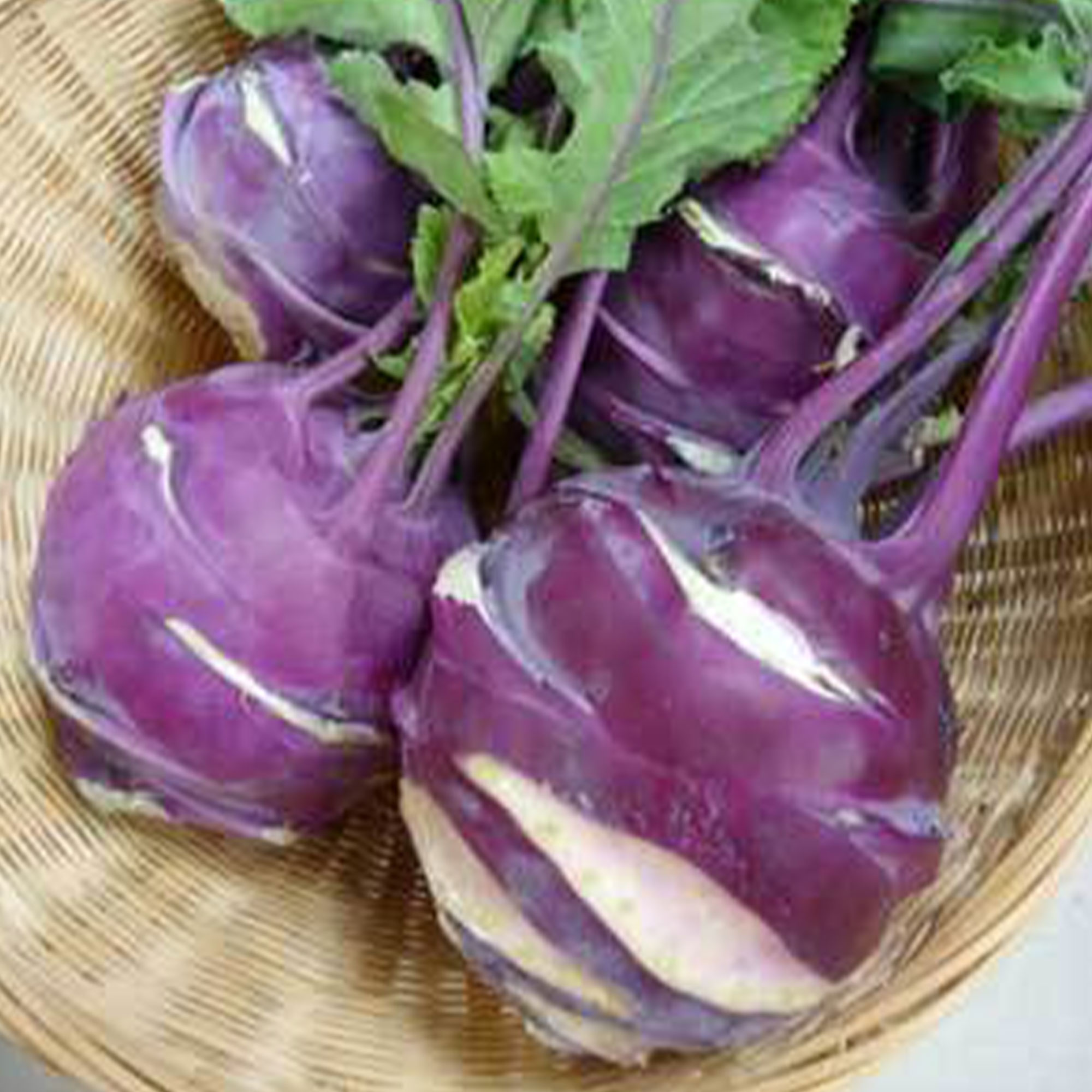 Organic Early Purple Vienna Kohlrabi -1/4 LB ~28,000 Seeds-Microgreens - Buy Non-GMO Brassica oleracea var. gongylodes Farm & Ga
