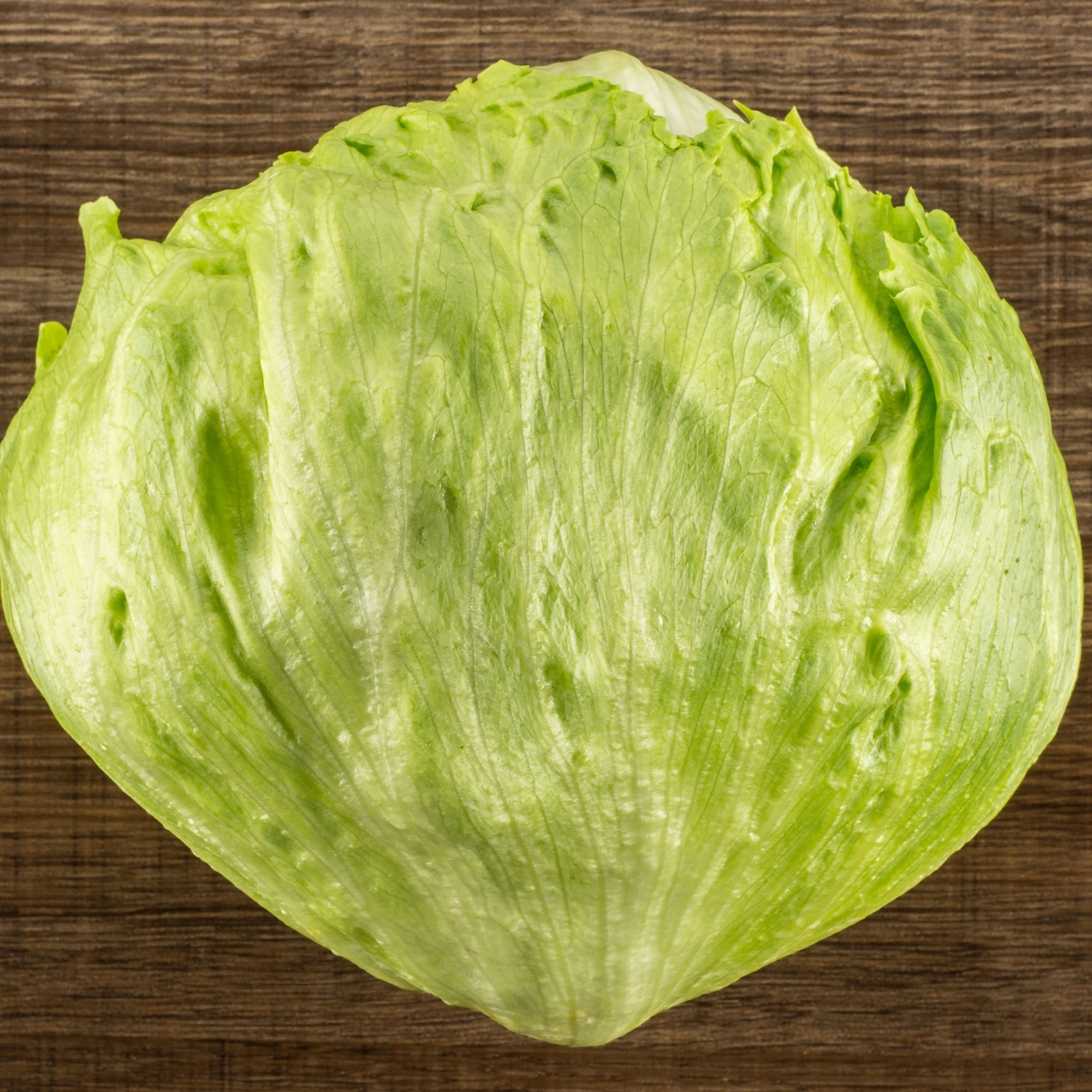 Lettuce - Crisphead - Great Lakes Mesa 659 - 1 g Packet ~900 Seeds - Garden - Buy Non-GMO Lactuca sativa Farm & Gardening Seeds 