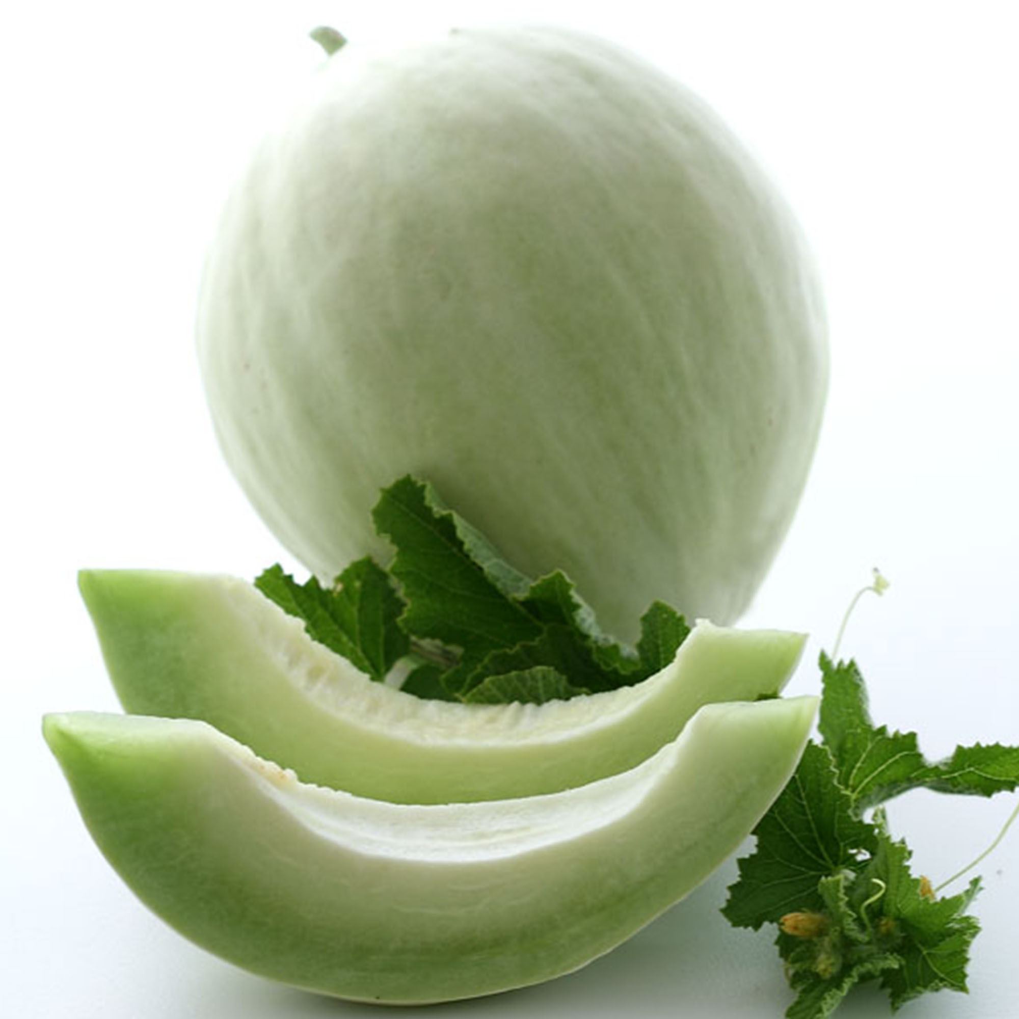 Organic Green Flesh Honeydew Melon - 1/4 LB Bulk ~4,000 Seeds - Farm - Buy Non-GMO Cucumis melo Farm & Gardening Seeds Online