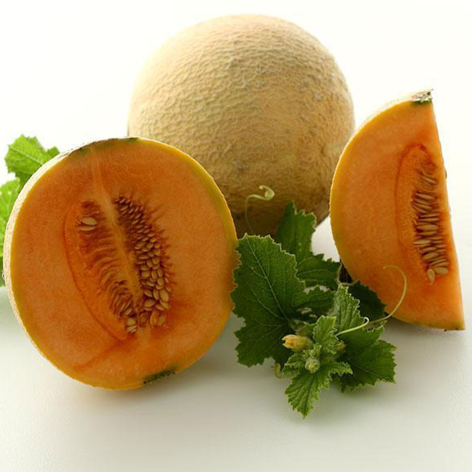 Organic Hearts of Gold Melon - 1/4 LB Bulk ~4,000 Seeds -Farm & Garden - Buy Non-GMO Cucumis melo Farm & Gardening Seeds Online