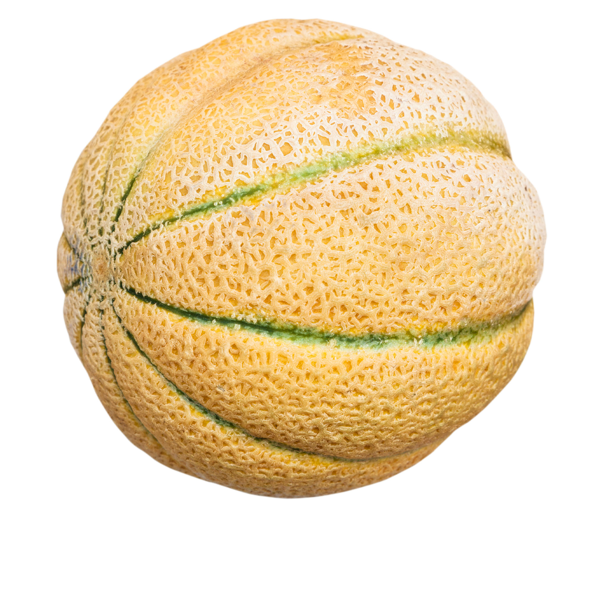 Melon Seeds - Iroquois - 1 Oz ~1,200 -Garden Vegetable/Fruit, Heirloom - Buy Non-GMO Cucumis melo Farm & Gardening Seeds Online