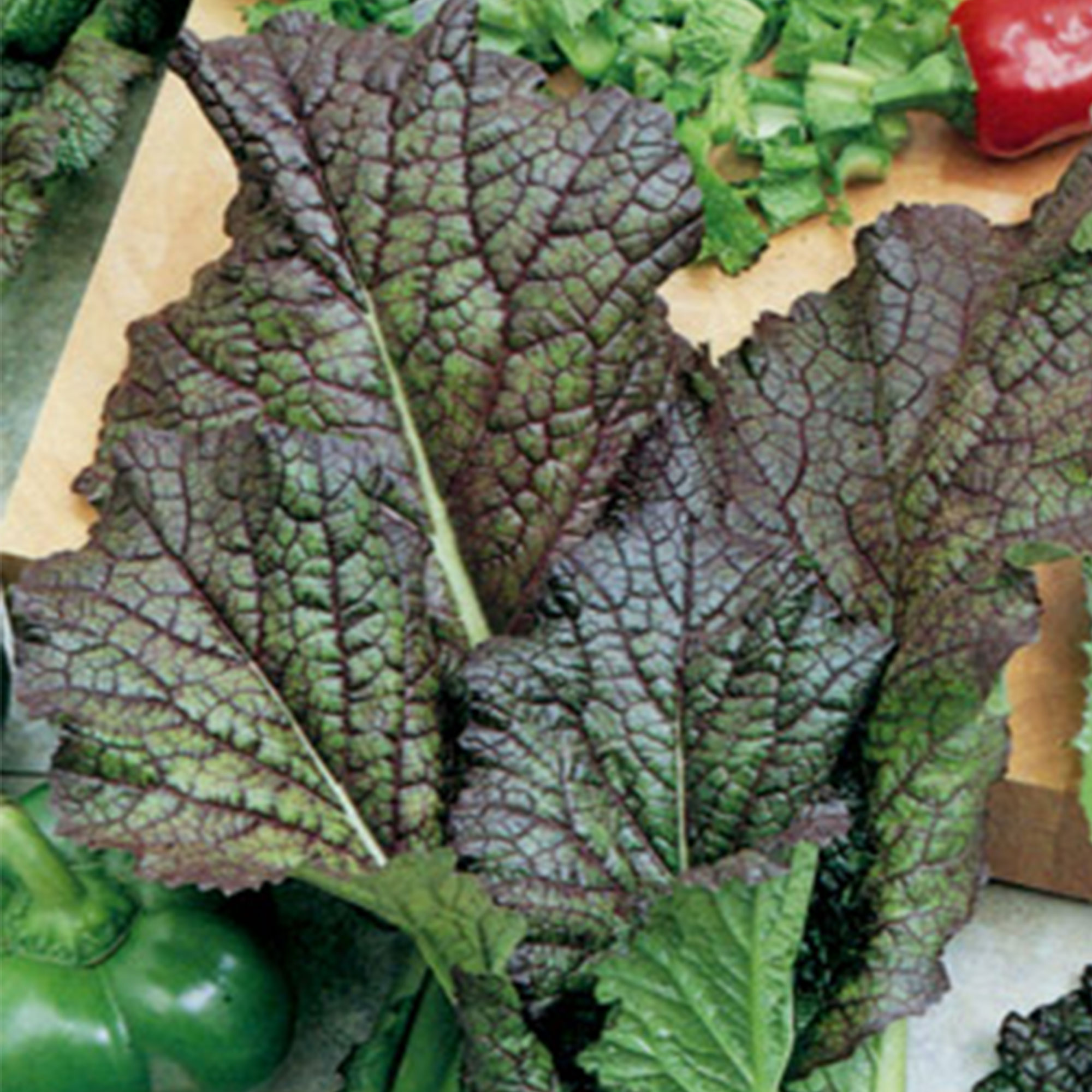 Organic Red Giant Mustard Seeds 2 g ~1,000 - Heirloom, Non-GMO, Garden - Buy Non-GMO Brassica juncea Farm & Gardening Seeds Onli