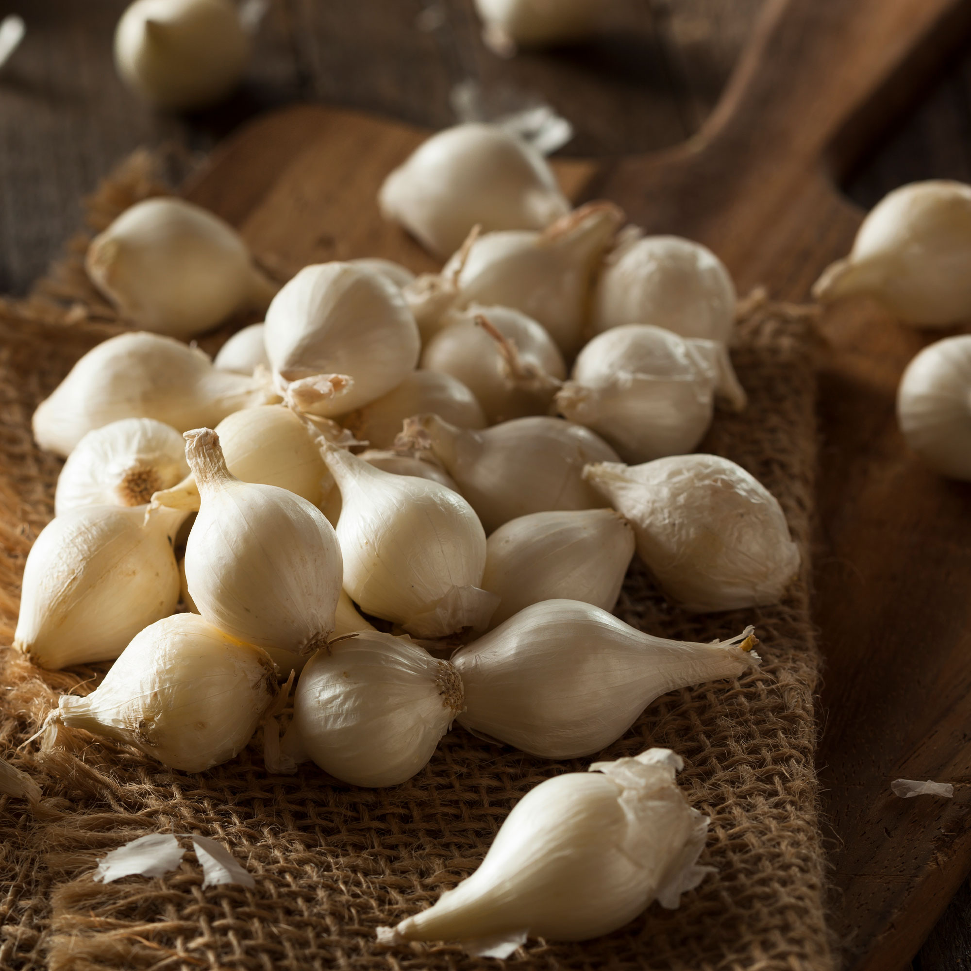 Onion Seeds - Barletta - 1 g Packet ~300 Seeds - Non-GMO Vegetable - Buy Non-GMO Allium cepa Farm & Gardening Seeds Online