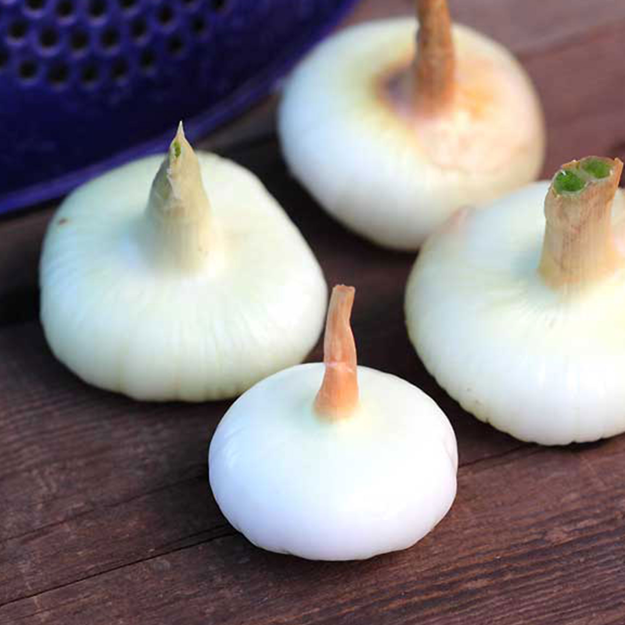 Borettana Yellow Cipollini Onion Seeds - 1 OZ ~8,400 Seeds - Heirloom - Buy Non-GMO, Open Pollinated Seeds Online - Best Seed Su