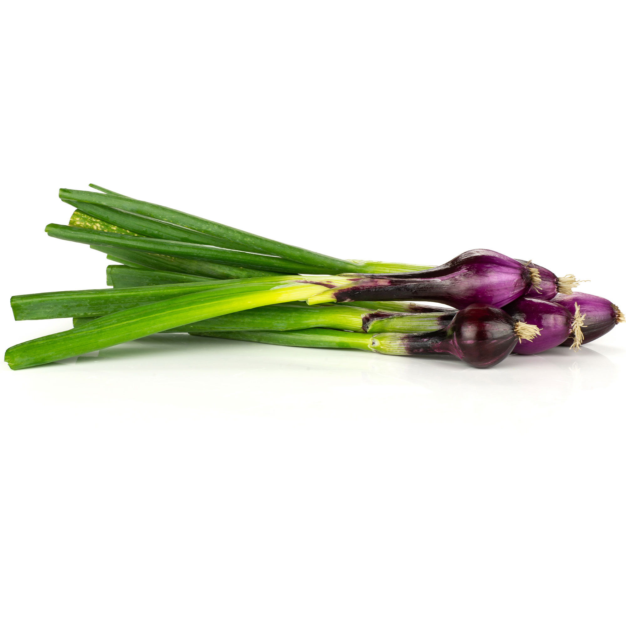 Onion Bunching Crimson Forest Seeds - 1 G Packet ~300 Seeds - Buy Non-GMO Allium cepa Farm & Gardening Seeds Online