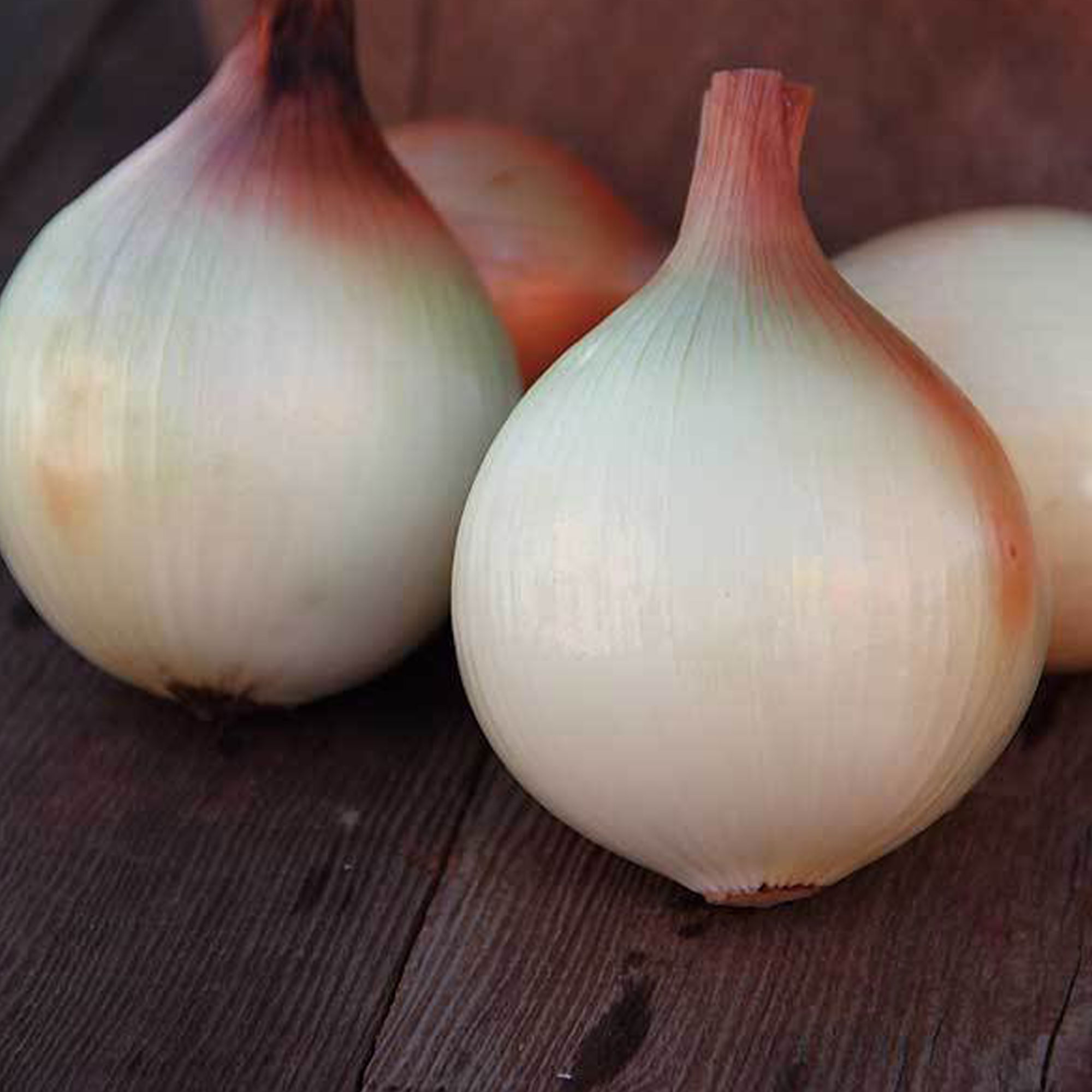 Organic Walla Walla Onion Seeds - 1 g ~300 Seeds - Heirloom, Non-GMO - Buy Non-GMO Allium cepa Farm & Gardening Seeds Online