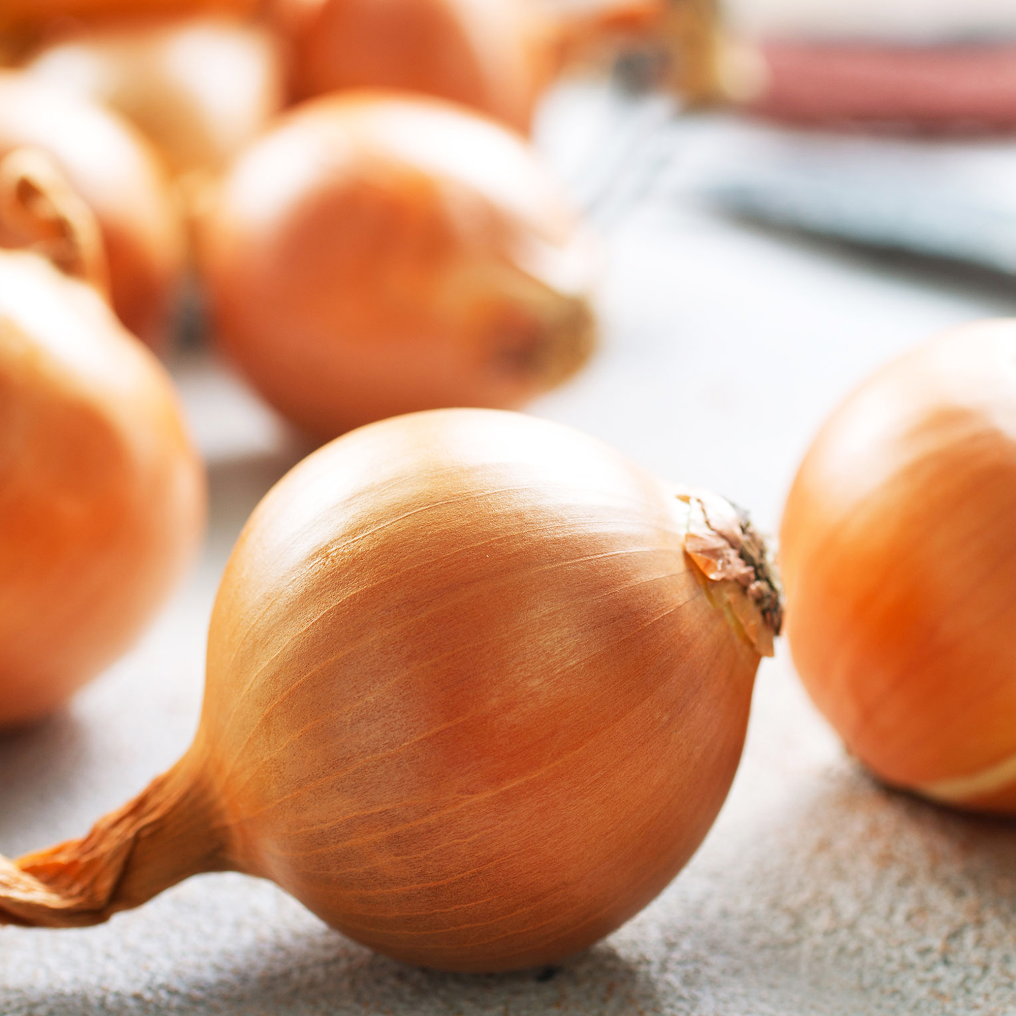 Onion Seeds - Hybrid - Yellow Granex PRR F1 - 1 g Packet ~300 Seeds - Buy Non-GMO Allium cepa Farm & Gardening Seeds Online