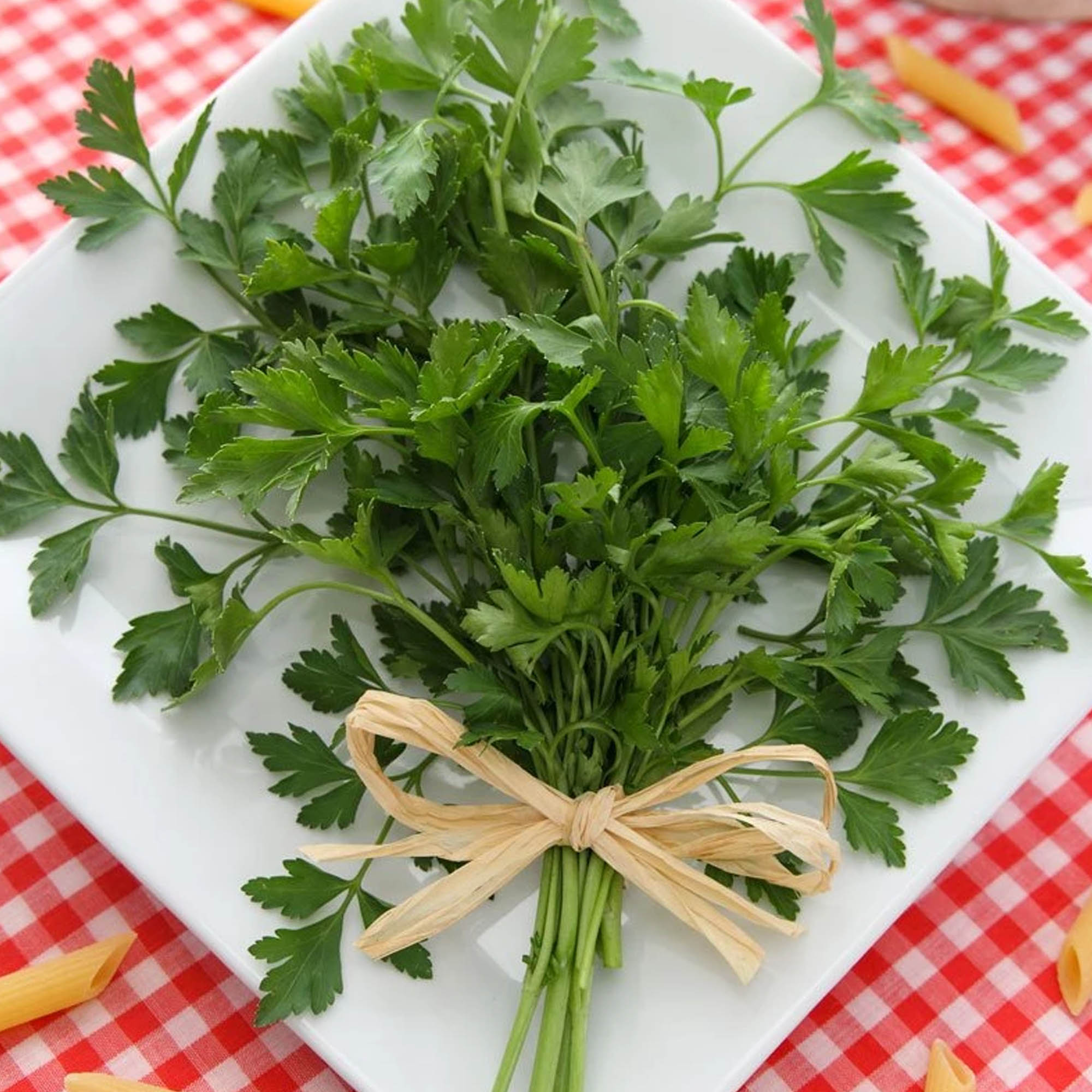 Organic Giant Italian Parsley - 1 g ~300 Seeds - Heirloom, Gardening - Buy Non-GMO Petroselinum crispum Farm & Gardening Seeds O