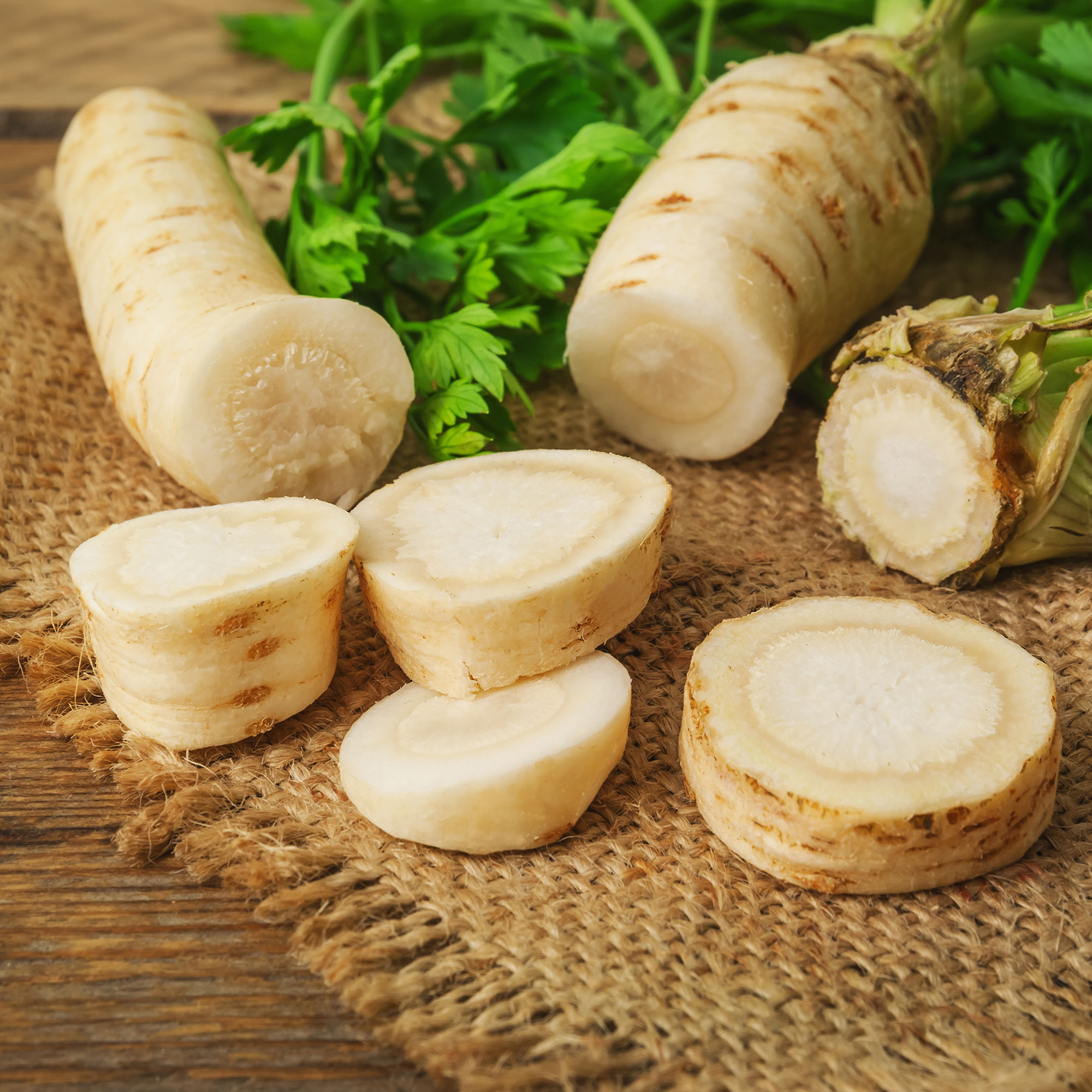 Parsley - Hamburg Rooted - 1 g Packet ~50 Seeds - Culinary Herb - Heirloom - Buy Non-GMO Petroselinum crispum Farm & Gardening S