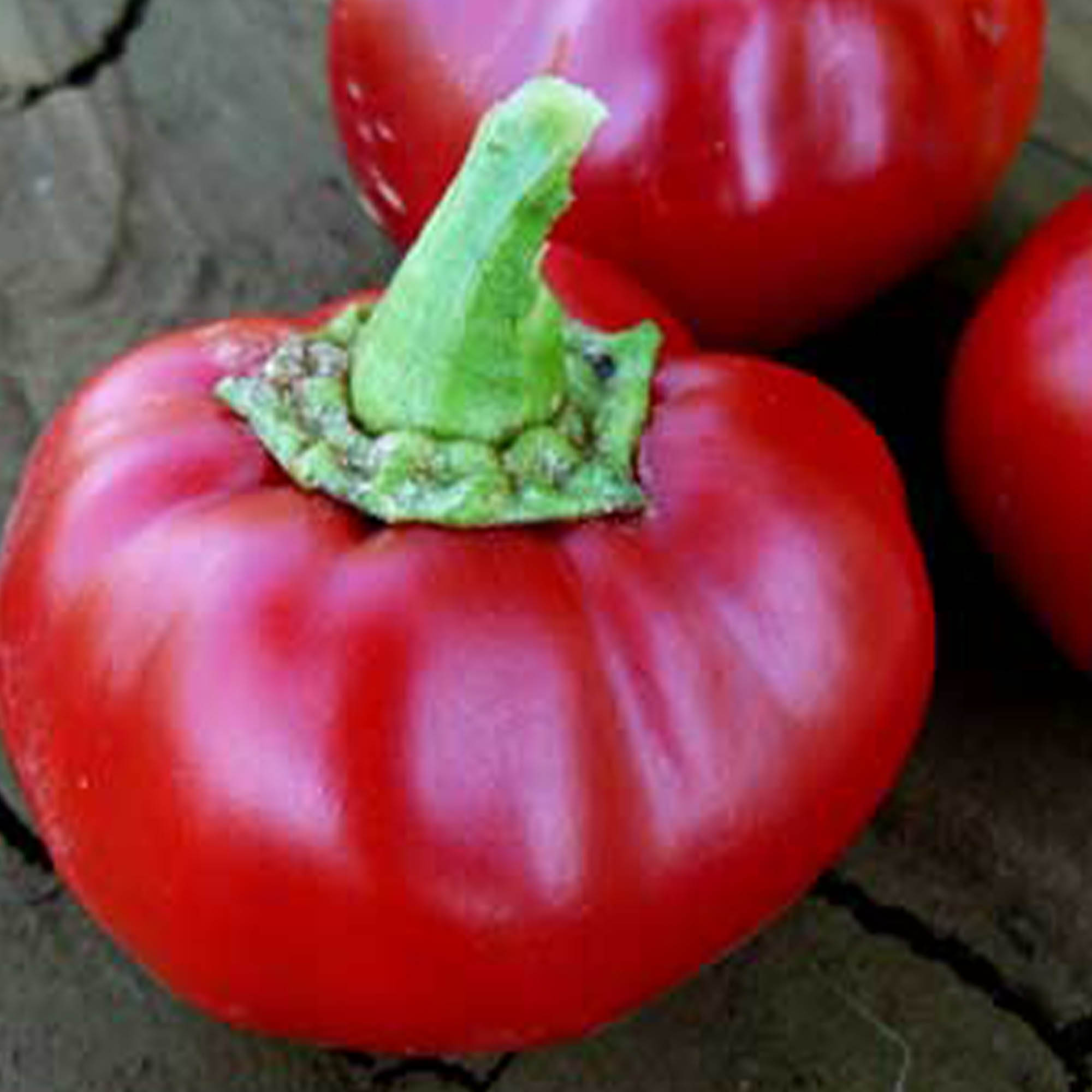 Organic Alma Paprika Pepper Seeds - 250 Mg Packet ~30-45 Seeds - Farm - Buy Non-GMO, Open Pollinated Seeds Online - Best Seed Su