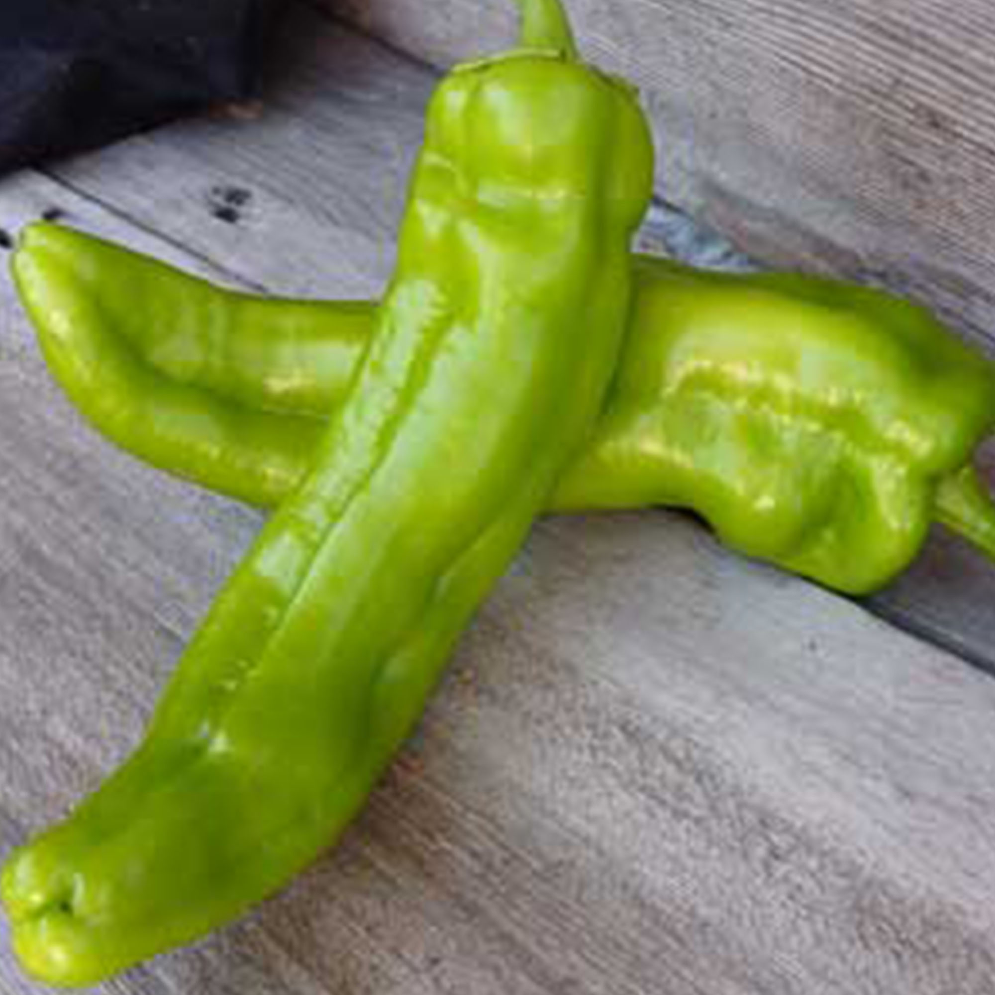 Organic Anaheim Hot Chili Pepper - 250 mg ~30 Seeds - Non-GMO, Farm - Buy Non-GMO, Open Pollinated Seeds Online - Best Seed Supp