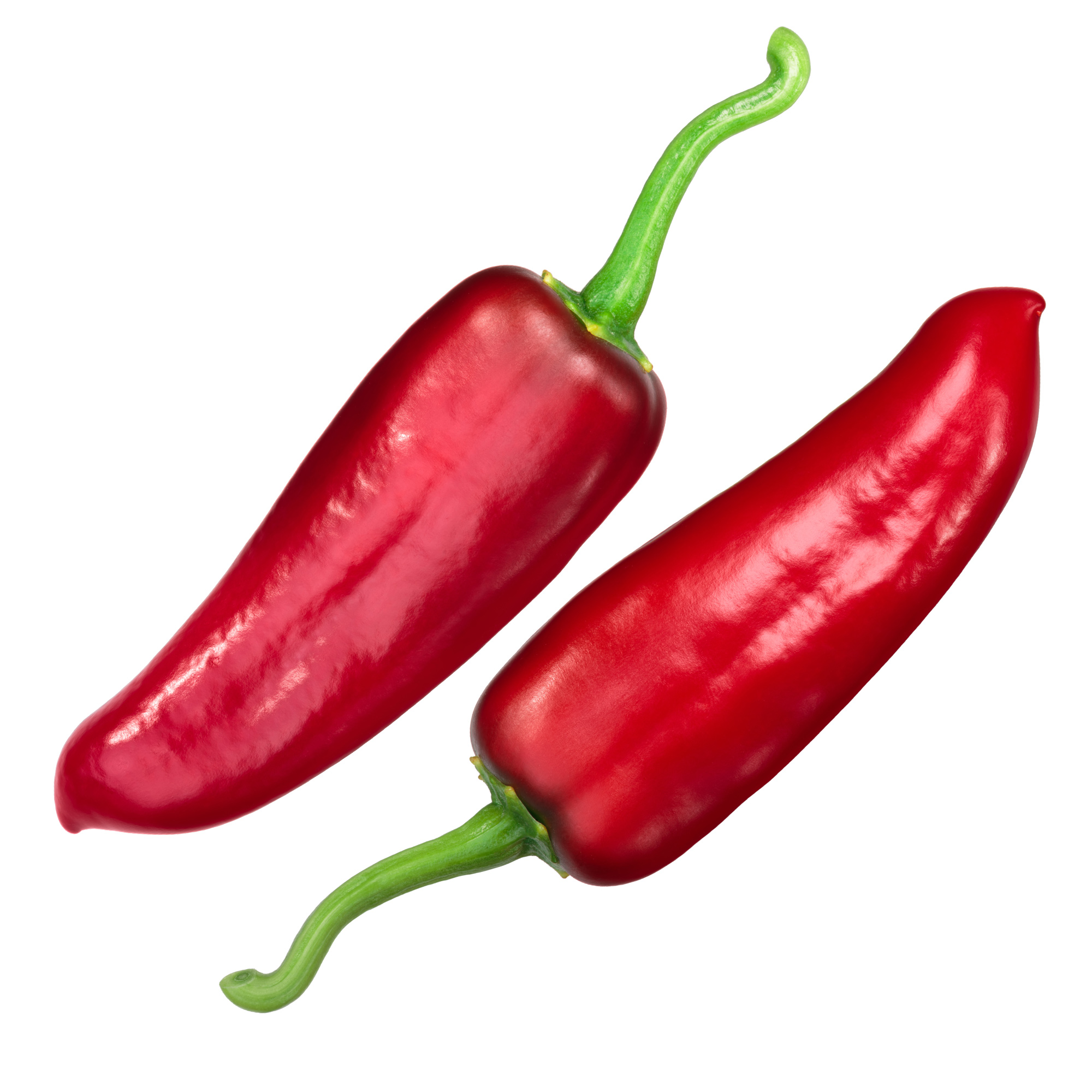 Hot Pepper Seeds - Nu Mex Joe E Parker - 1 Oz ~5,000 - Gardening - Buy Non-GMO Capsicum annuum Farm & Gardening Seeds Online