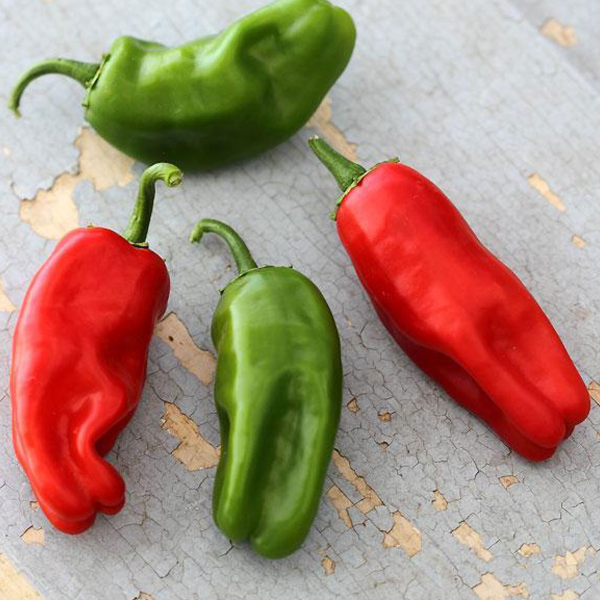 Organic Pimiento de Padron Pepper - 250 Mg ~40 Seeds - Heirloom - Buy Non-GMO, Open Pollinated Seeds Online - Best Seed Supplier