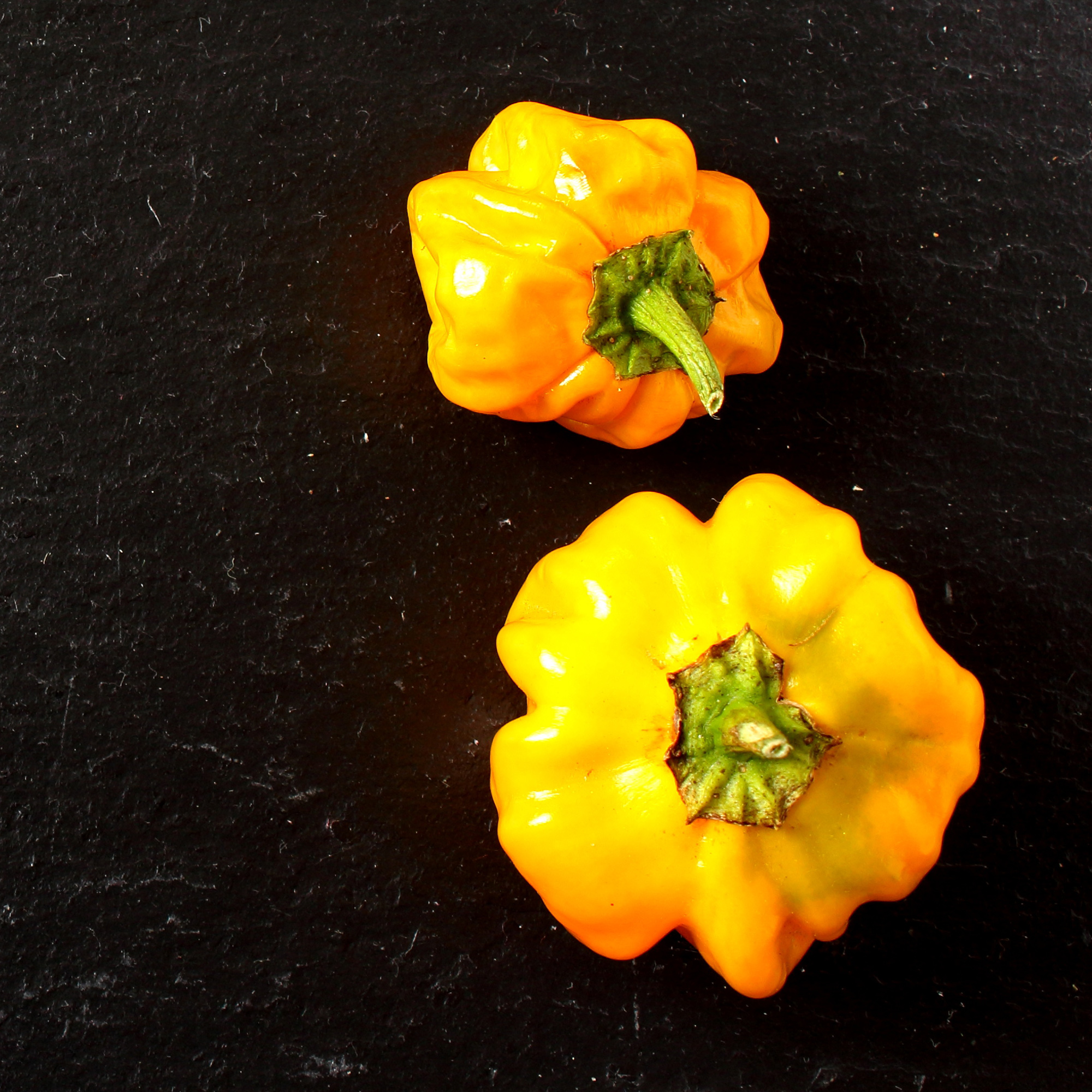 Yellow Scotch Bonnet Hot Pepper - .25 Oz ~1,500 Seeds - Non-GMO Garden - Buy Non-GMO Capsicum chinense Farm & Gardening Seeds On