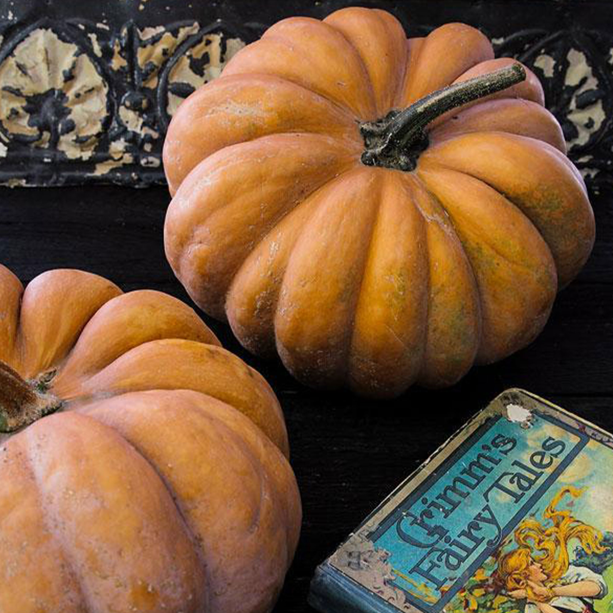 Fairytale Pumpkin Seeds - 1 LB ~1,800 Seeds - Non-GMO, Vegetable, Farm - Buy Non-GMO Cucurbita pepo Farm & Gardening Seeds Onlin