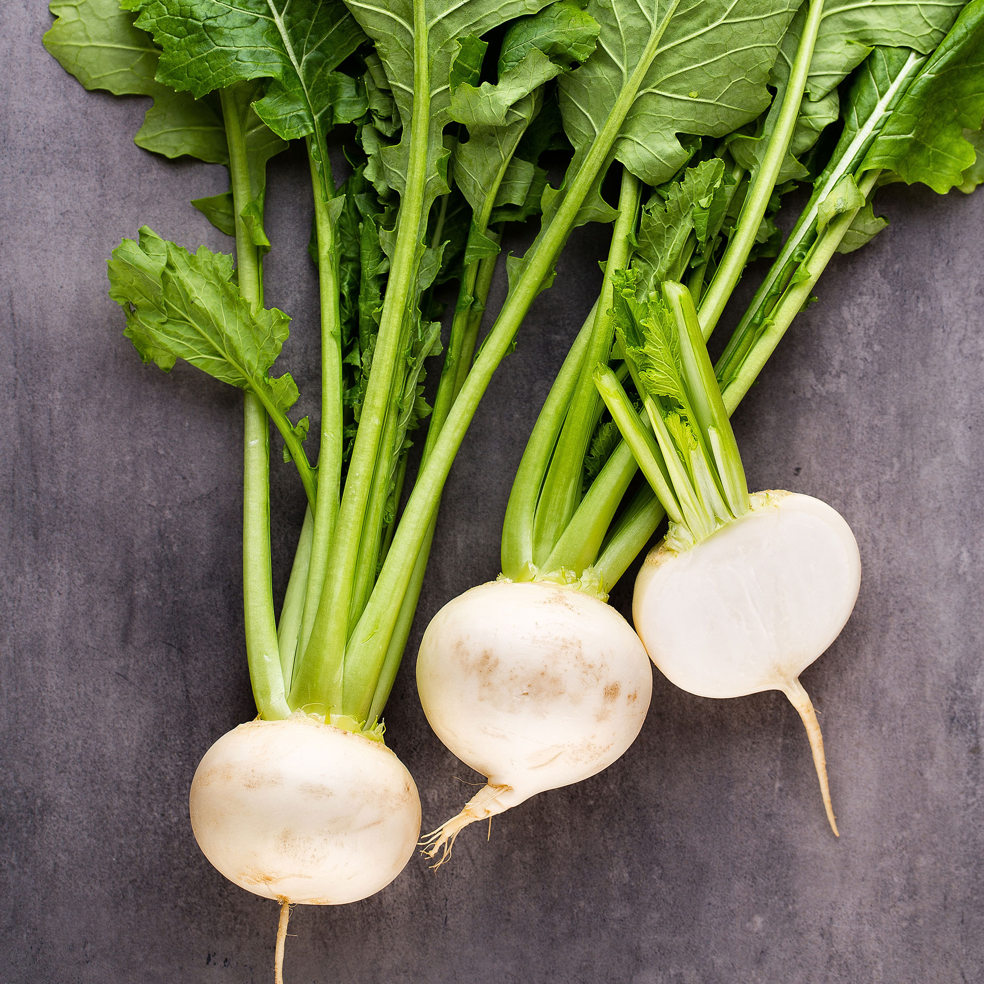 Radish Seeds - White Beauty - 25 Lb Bulk Bulk ~1,070,000 Seeds - Raphanus sativus - Garden Vegetable & Microgreens - Non-GMO, He