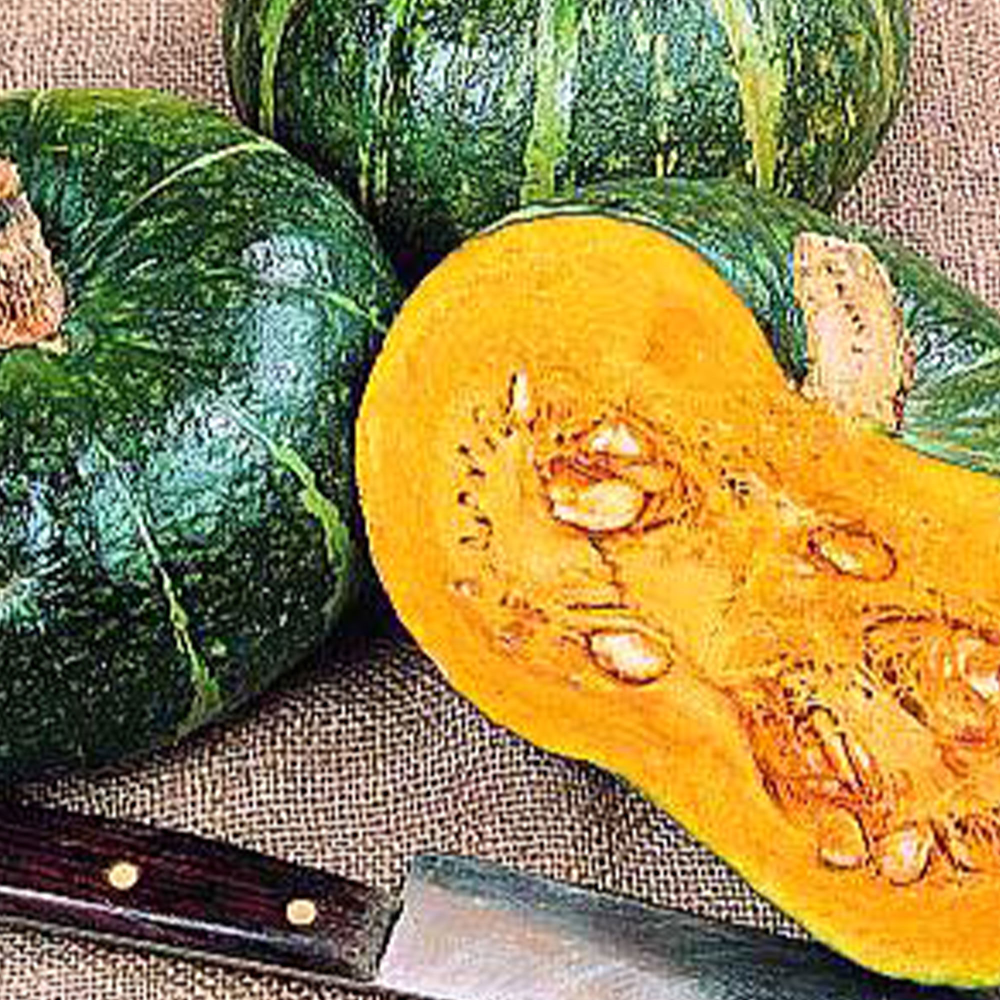 Squash Seeds - Winter - Burgess Buttercup Bush 1 lb ~ Seeds - Annual - Open Pollinated - Heirloom Cucurbita maxima Farm & Garden