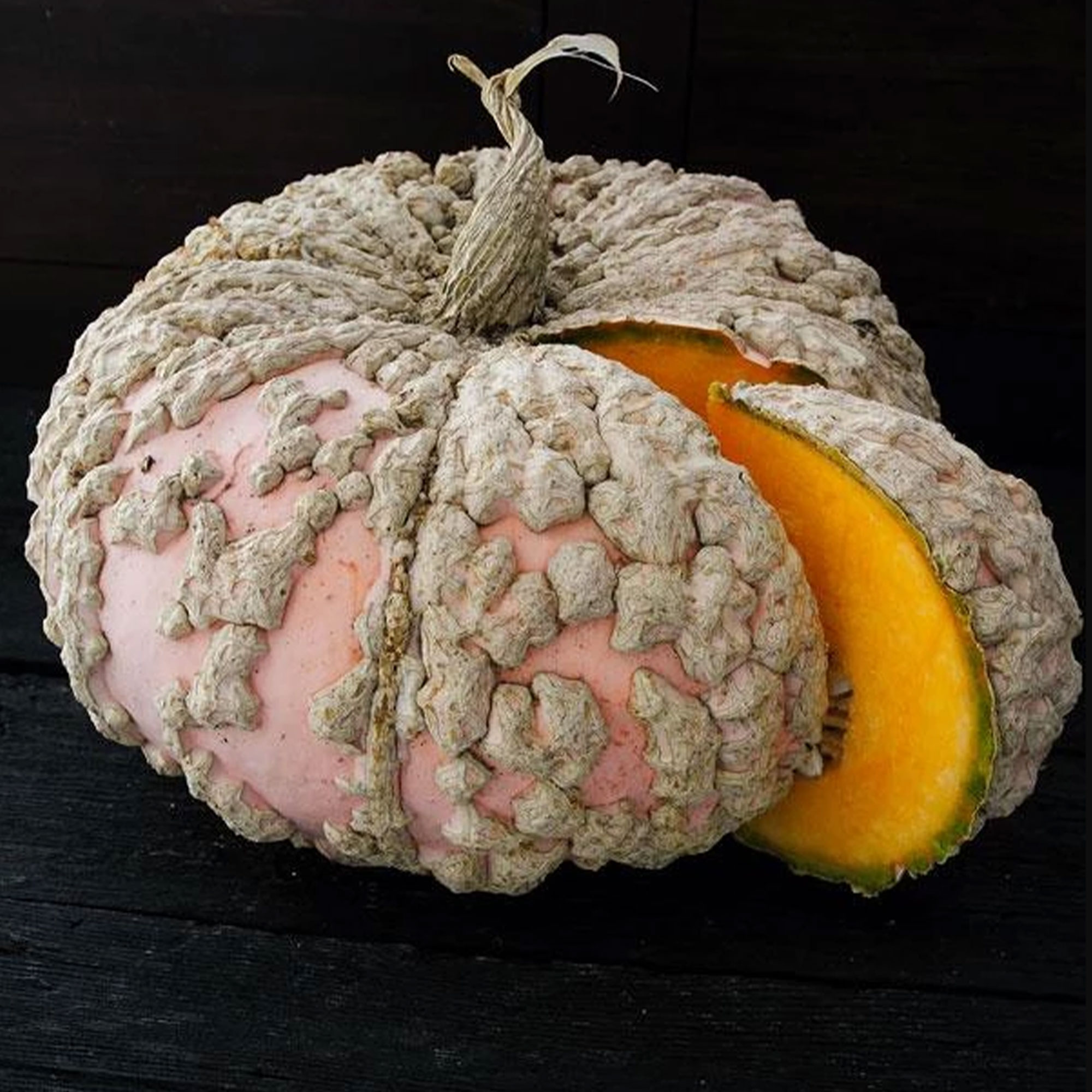 Galeux D'eysines Squash Seeds - 4 Grams ~20 Seeds - Heirloom, Non-GMO - Buy Non-GMO, Open Pollinated Seeds Online - Best Seed Su