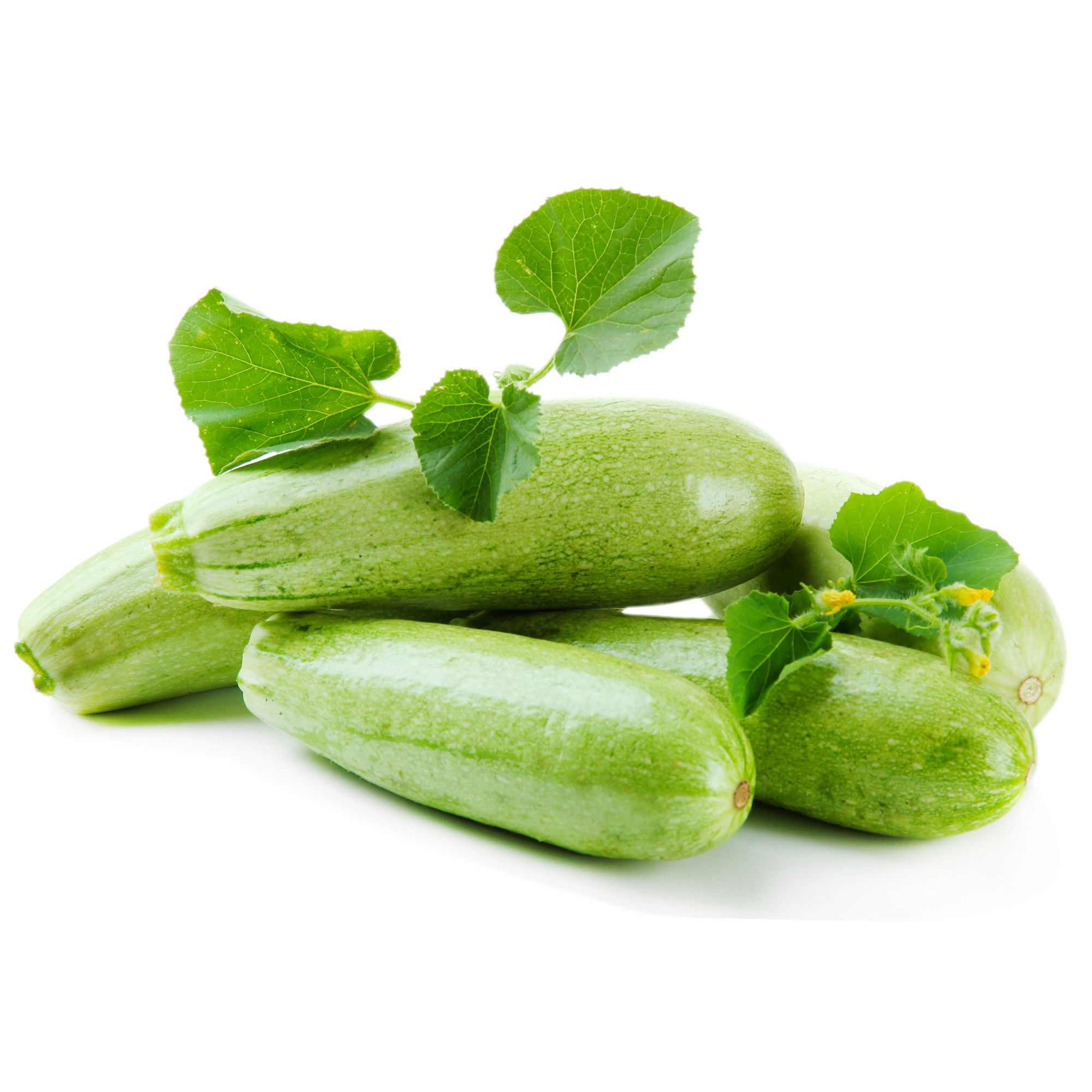 Squash Seeds - Italian Genovese - 4 G Packet ~36 Seeds - NonGMO - Buy Non-GMO Cucurbita pepo Farm & Gardening Seeds Online