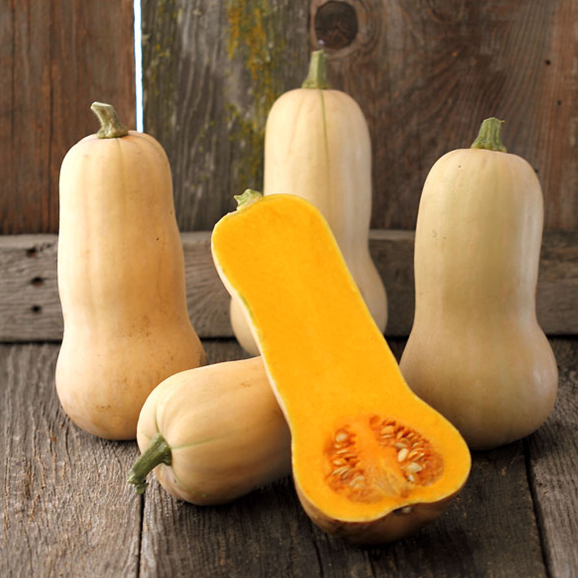 Organic Waltham Butternut Squash 5 LB Bulk ~13,500 Seeds-Farm & Garden - Buy Non-GMO Cucurbita moschata Farm & Gardening Seeds O