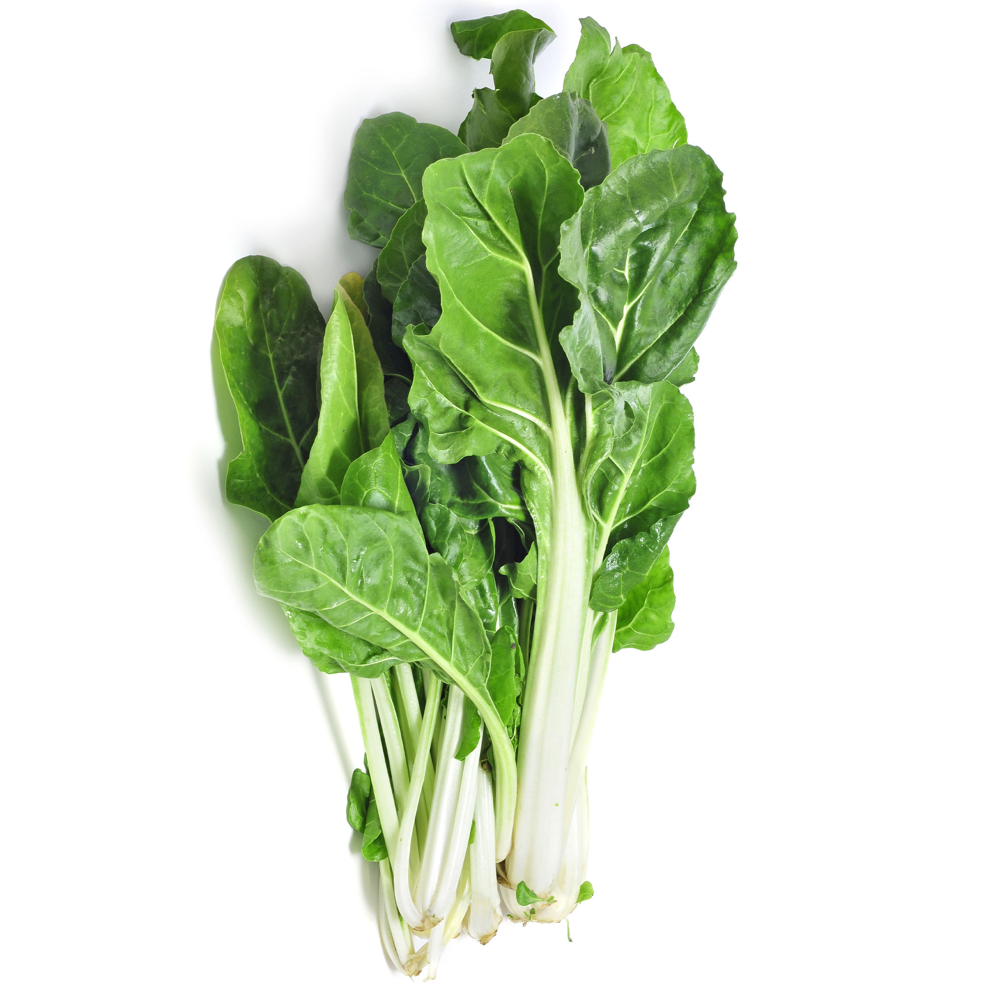 Swiss Chard Seeds - Barese Dark Green Smooth Leaf -25 Lb Bulk ~600,000 - Buy Non-GMO Beta vulgaris ssp. cicla Farm & Gardening S