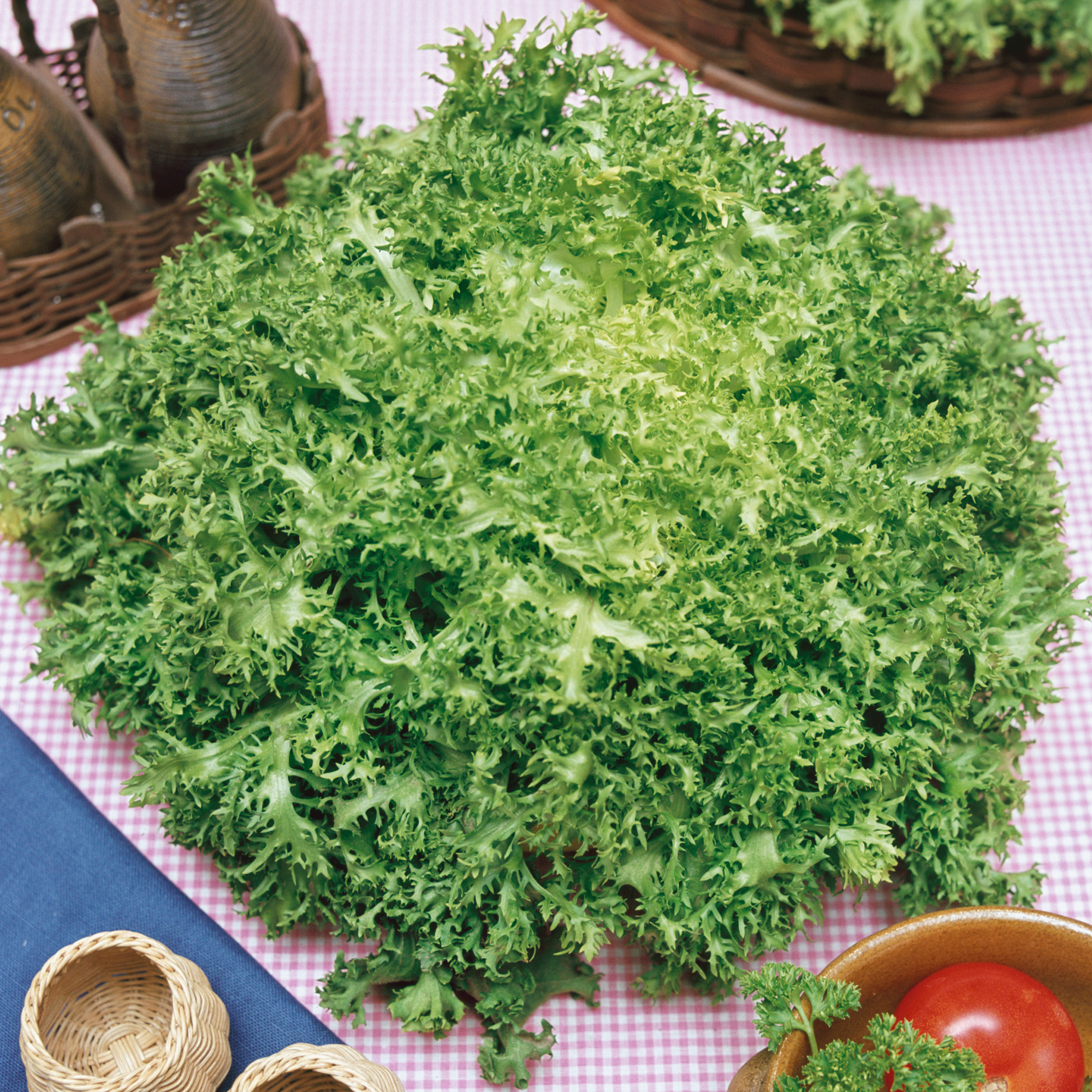 Organic Frisee Endive Seeds - 2 g Packet - Garden - Non-GMO, Heirloom