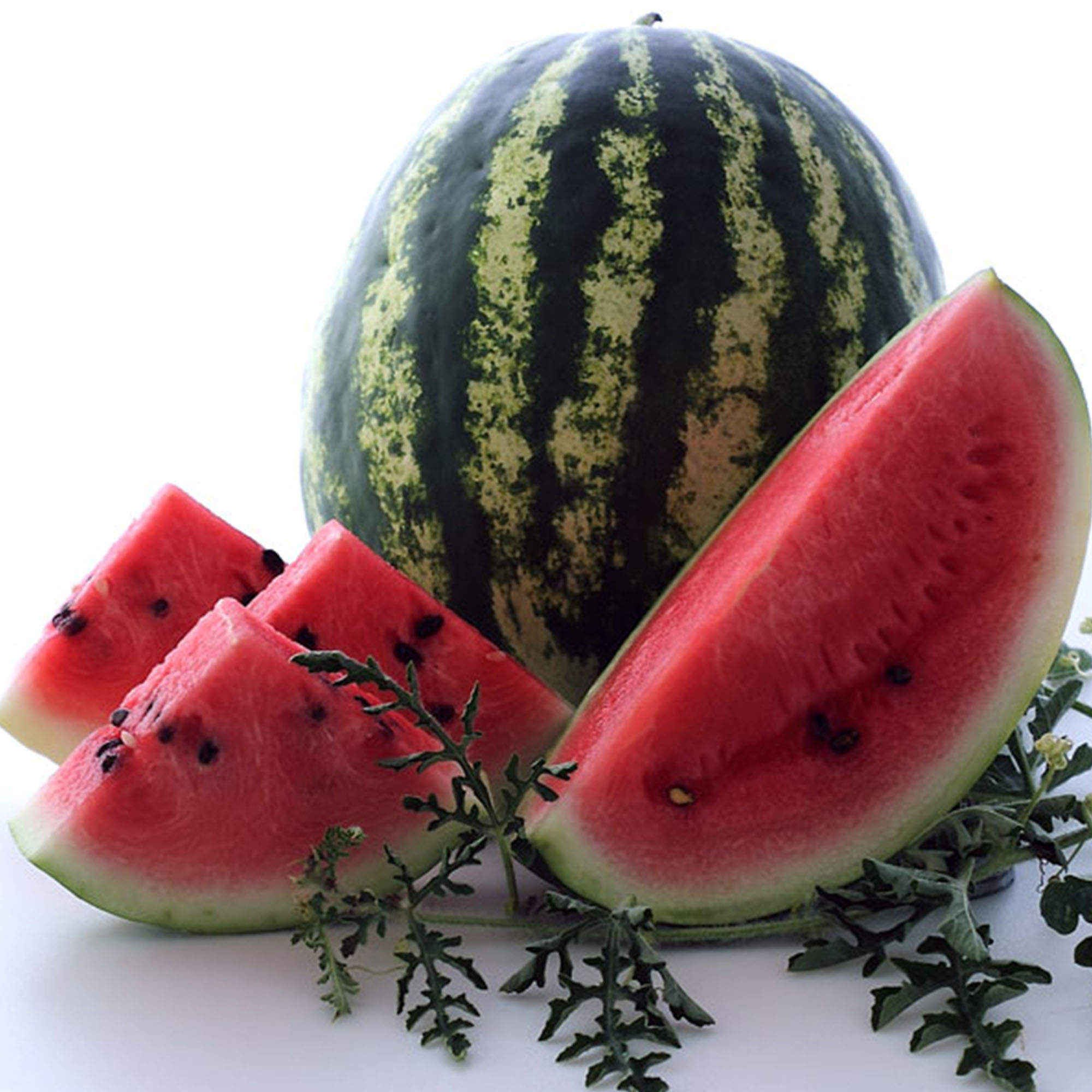 Organic Crimson Sweet Watermelon Seeds - 2 g ~25 - Heirloom, Gardening - Buy Non-GMO Citrullus lanatus Farm & Gardening Seeds On