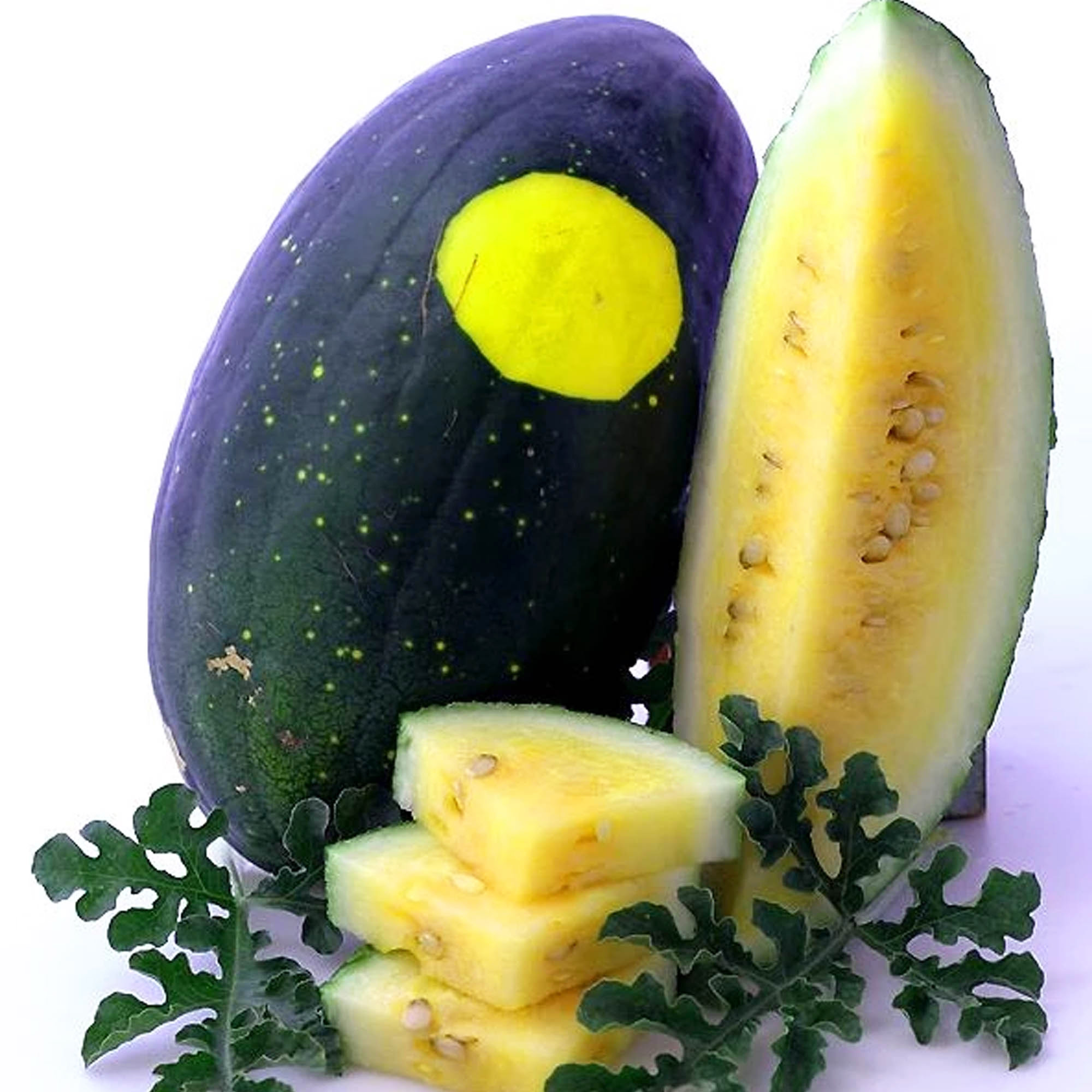 Moon & Stars Yellow Flesh Watermelon - 1/4 LB ~1,600 Seeds - Non-GMO - Buy Non-GMO, Open Pollinated Seeds Online - Best Seed Sup