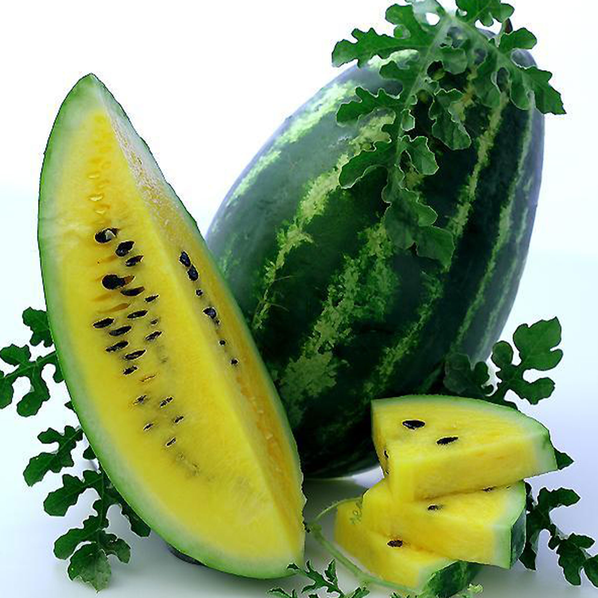 Mountain Sweet Watermelon Seeds - 1 OZ ~400 Seeds - Heirloom, Fruit - Buy Non-GMO Citrullus lanatus Farm & Gardening Seeds Onlin